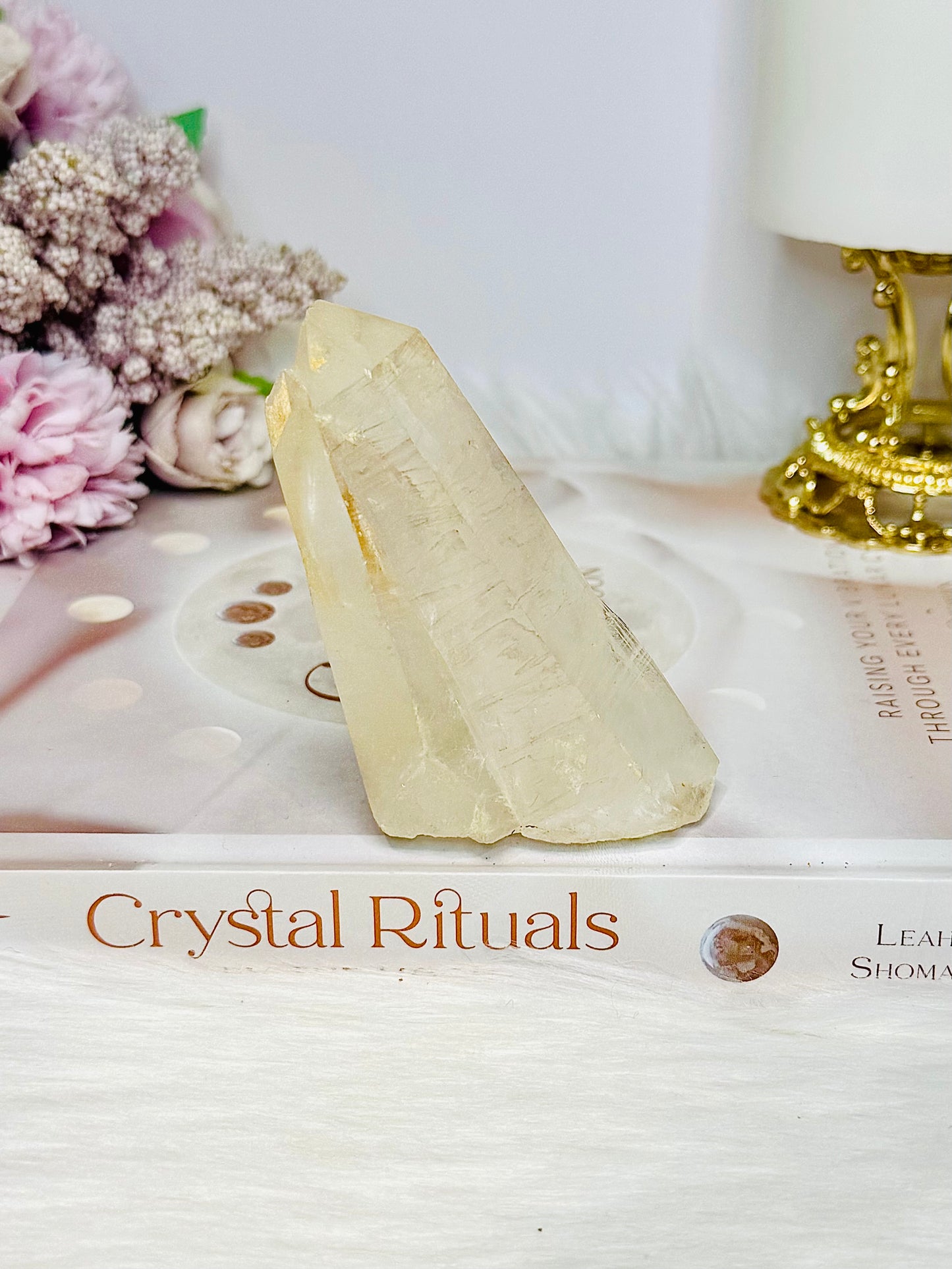 Clear Quartz Natural Point | Freeform 9cm 170g