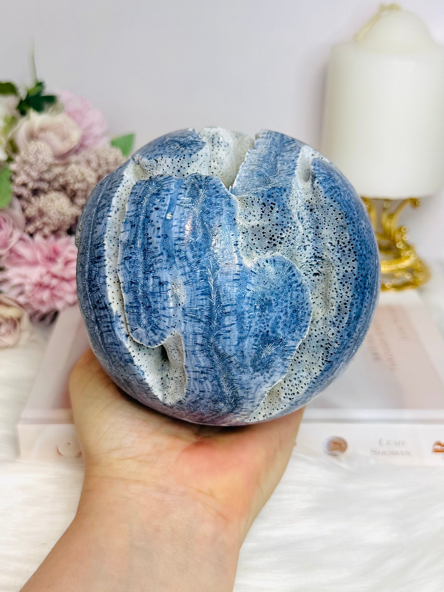 Huge Natural Blue Coral Fossil 1.27KG