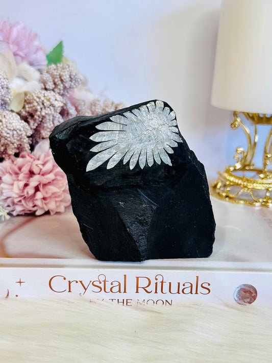 Natural Chrysanthemum Stone Formed Over 290 Million Years Ago 8cm