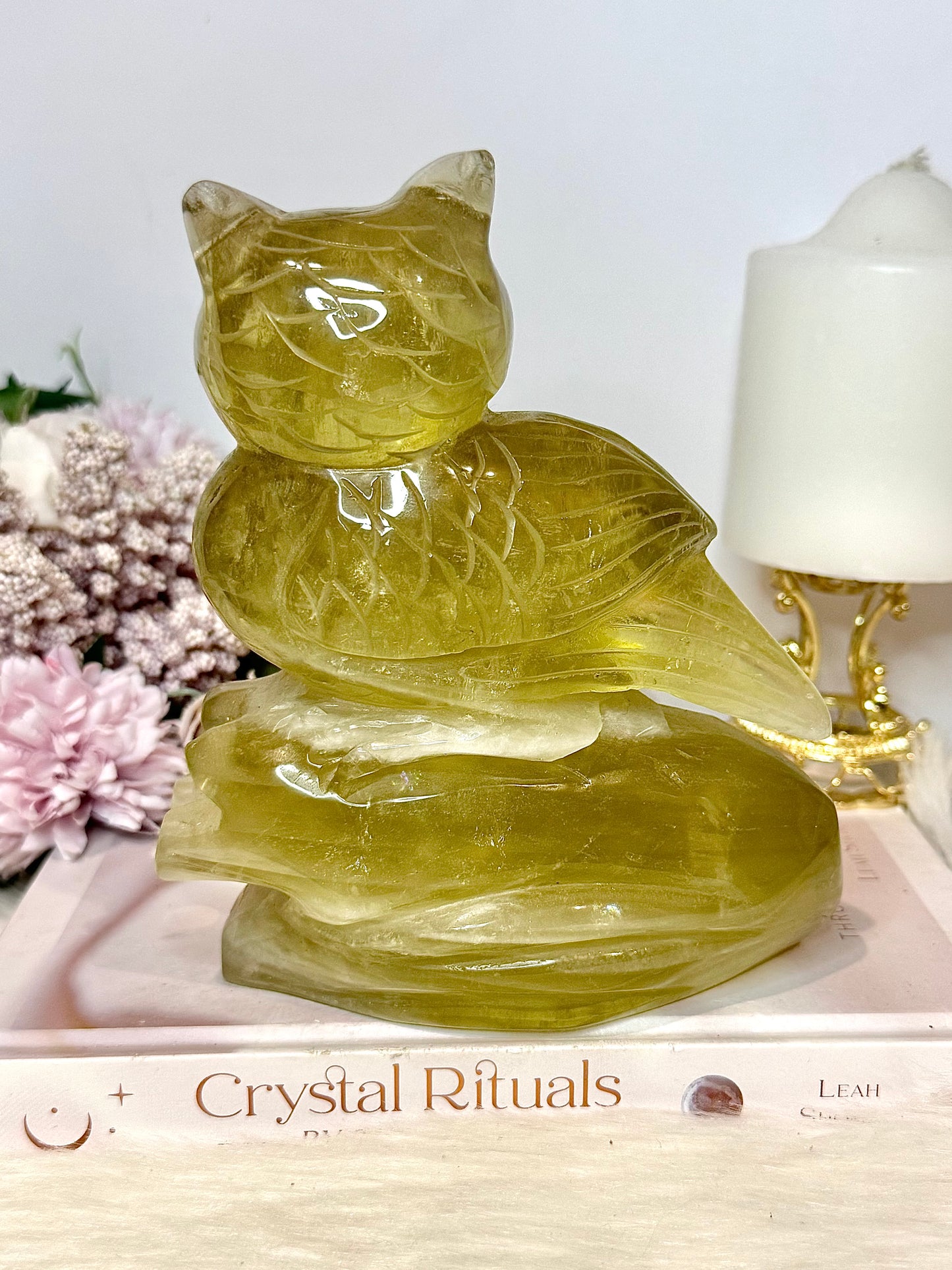 Huge 1.25KG Citrine Carved Owl 15cm