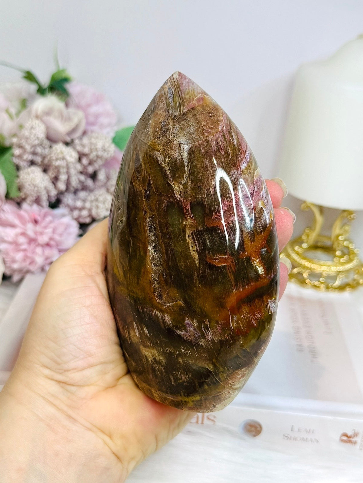 Large Petrified Wood Freeform 13cm 720g