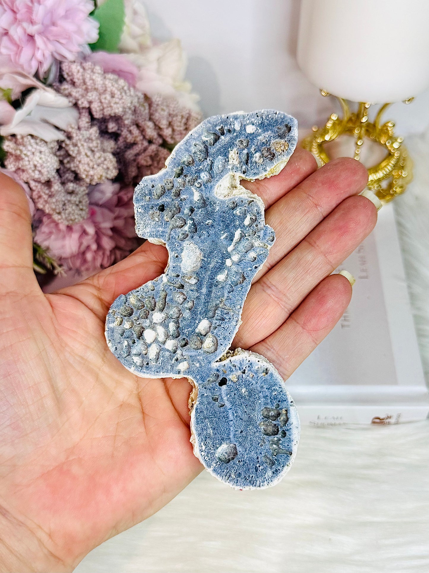 Natural Blue Fossilised Coral Vintage Skeleton Specimen 13cm