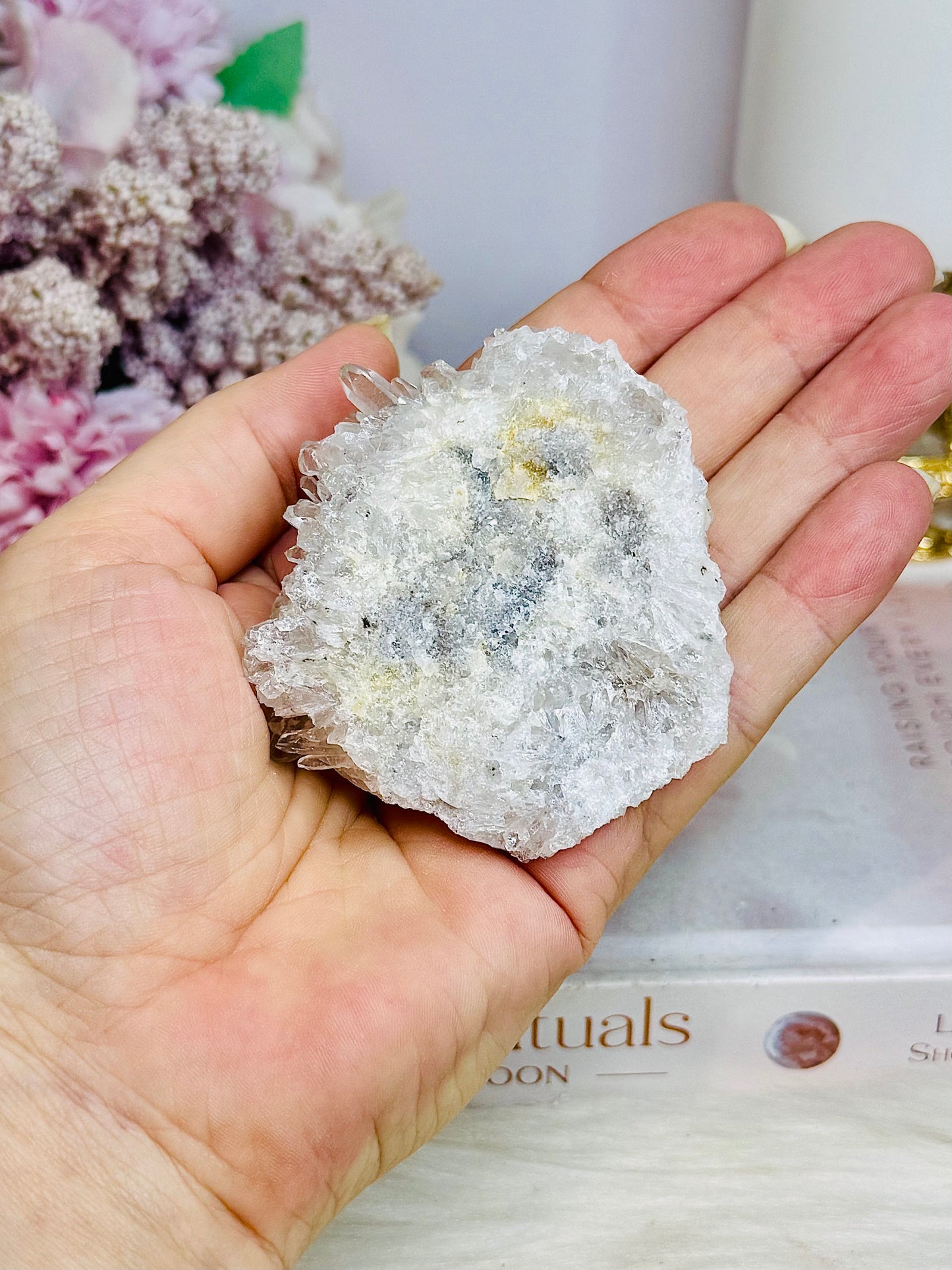 Natural Chrysanthemum Specimen 7cm