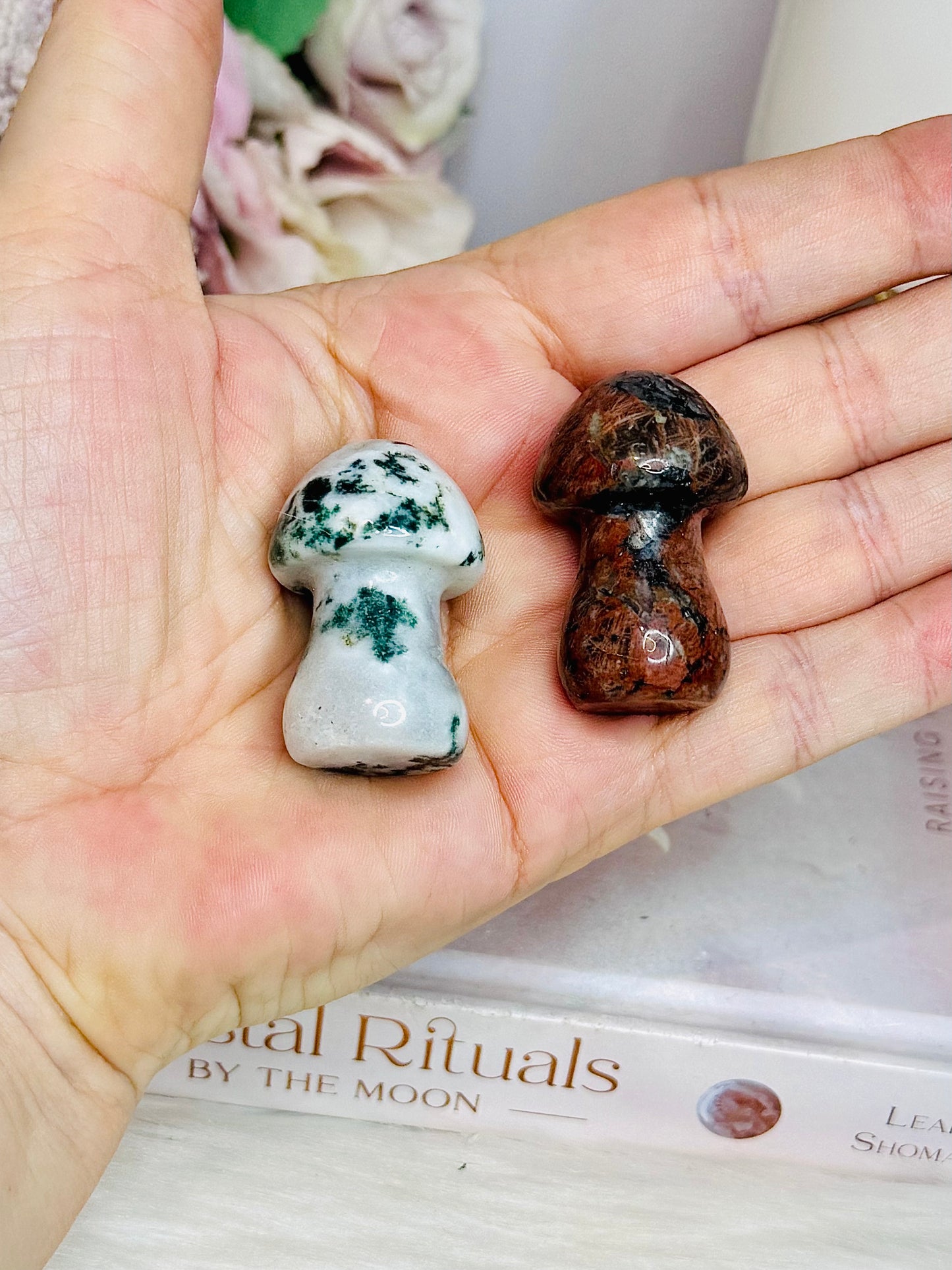 Set of 2 Mushrooms ~ Moss Agate & Jasper