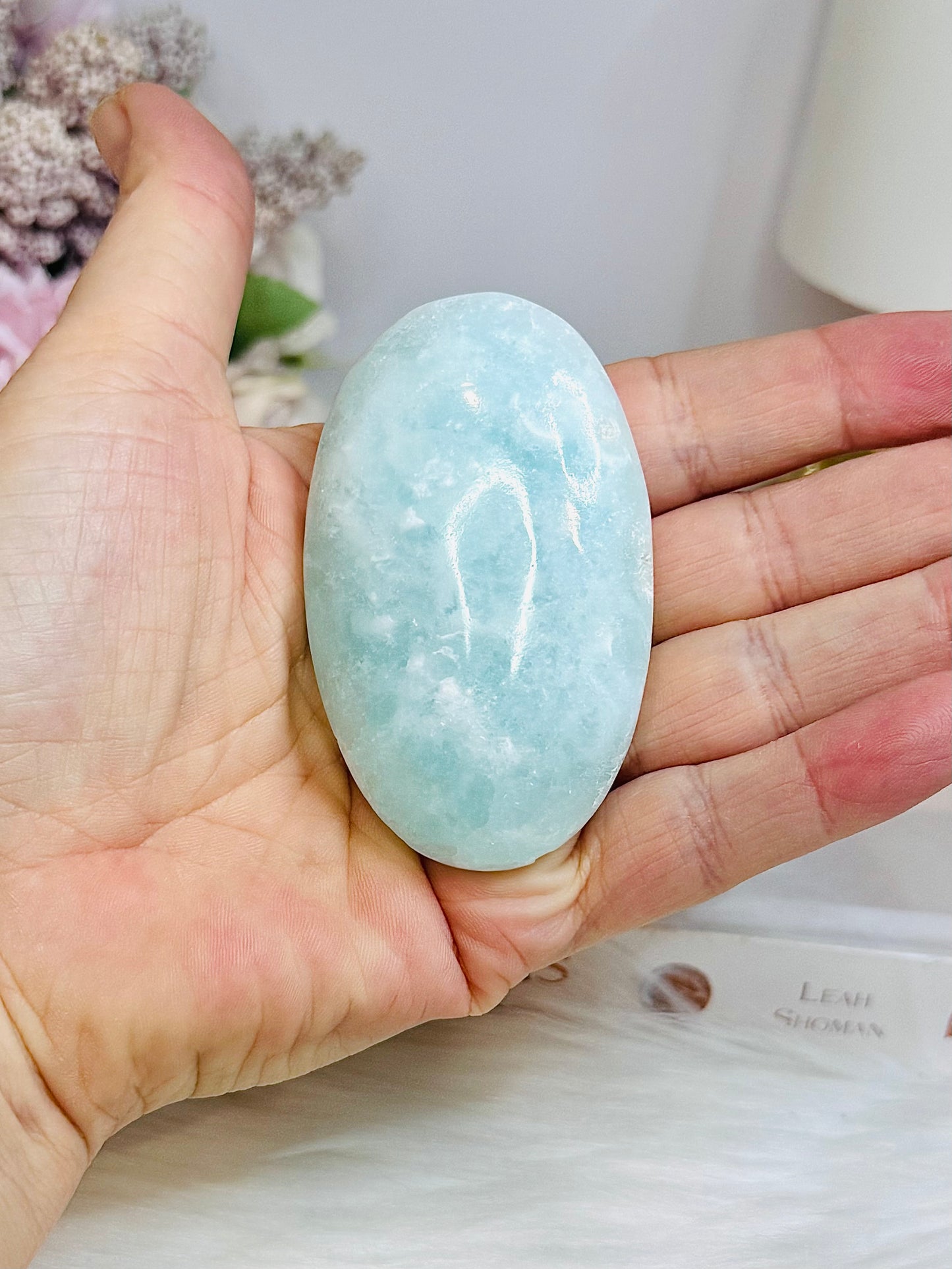 Large Caribbean Calcite Palm Stone