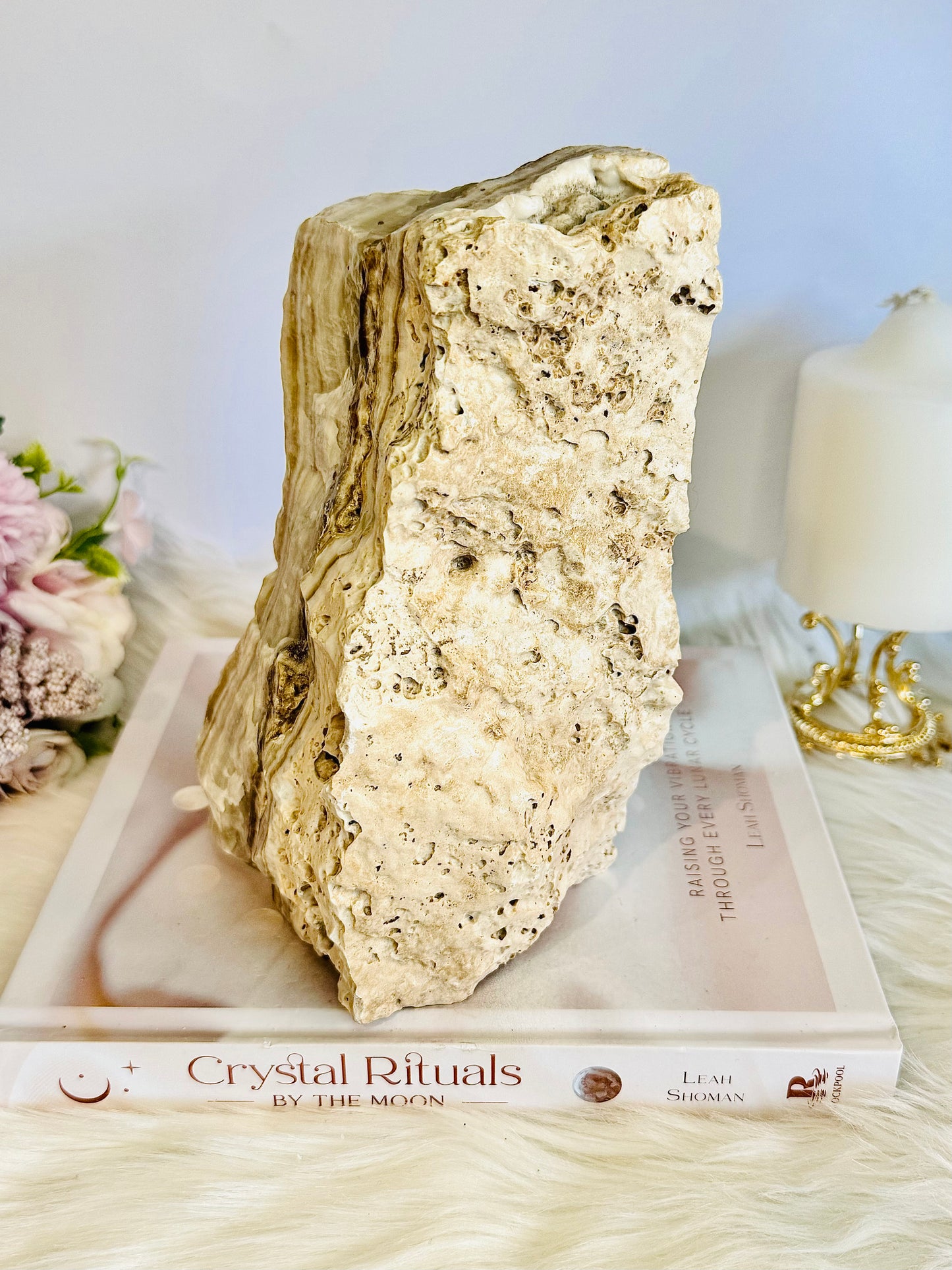 Huge Natural Aragonite Freeform | Slab 17cm Tall 2.7KG ~ Spectacle Piece