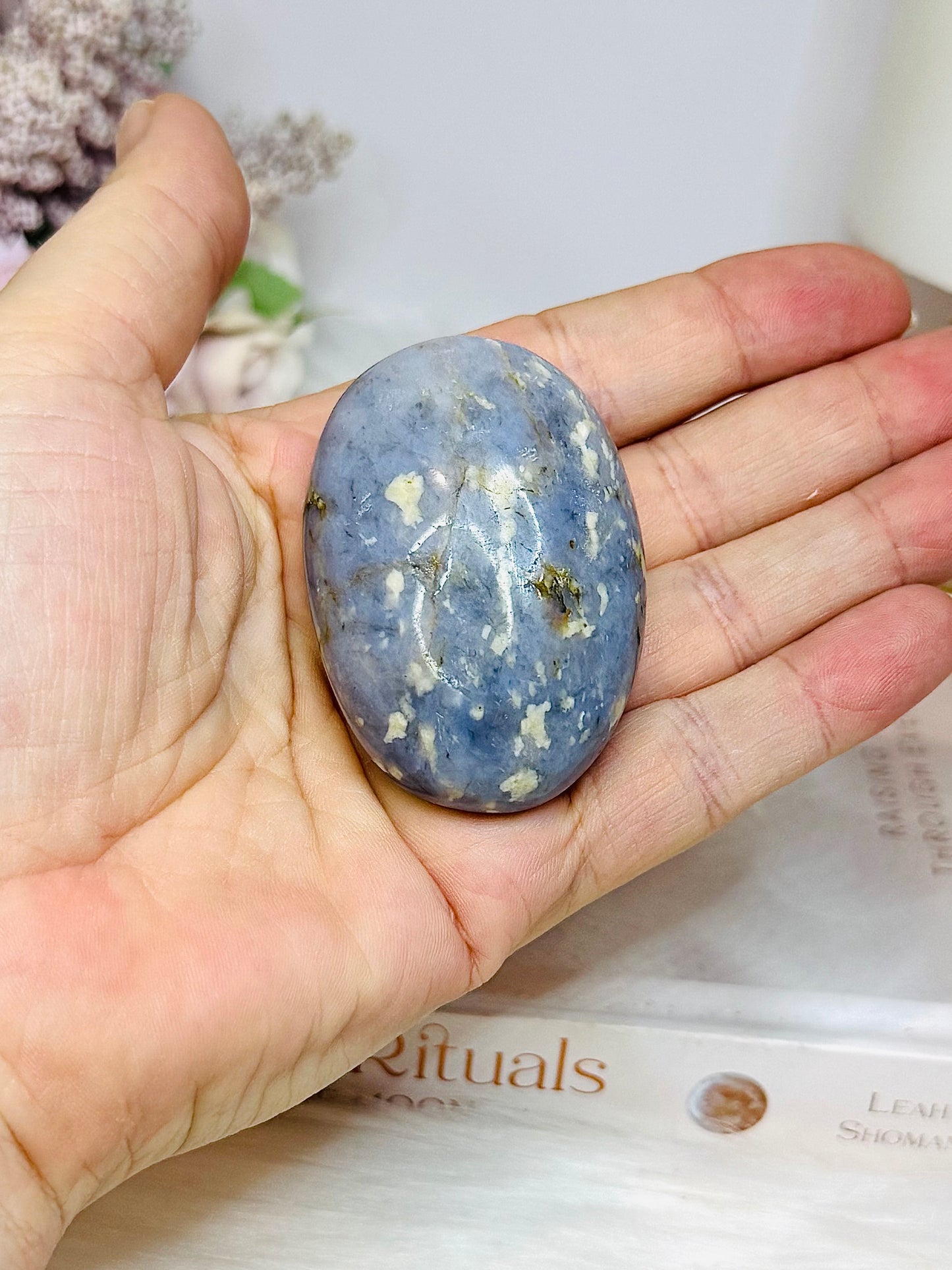 Blue Owyhee Opal Palm Stone