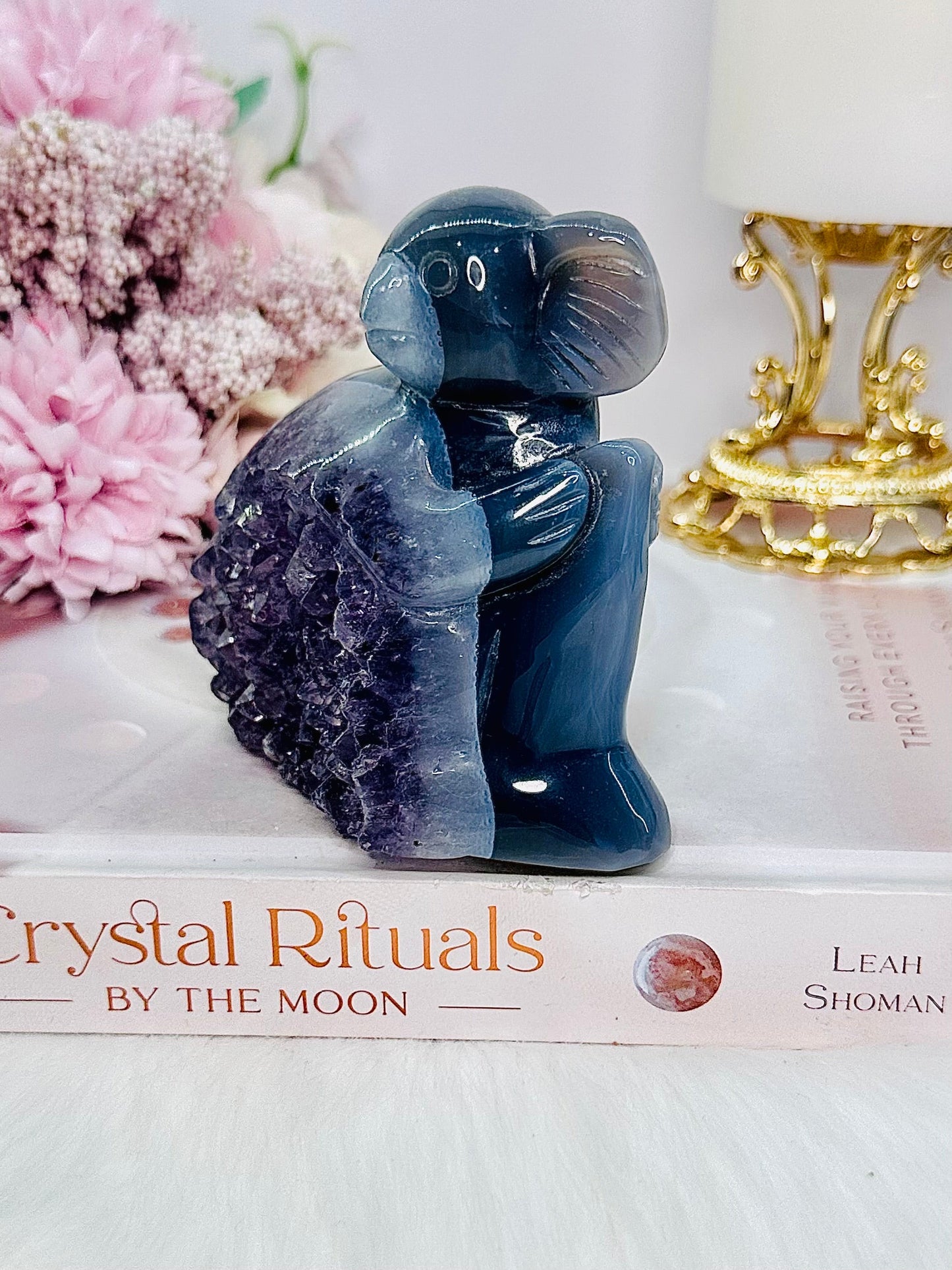 High Grade Chunky 10cm Druzy Agate Amethyst Carved Koala Bear