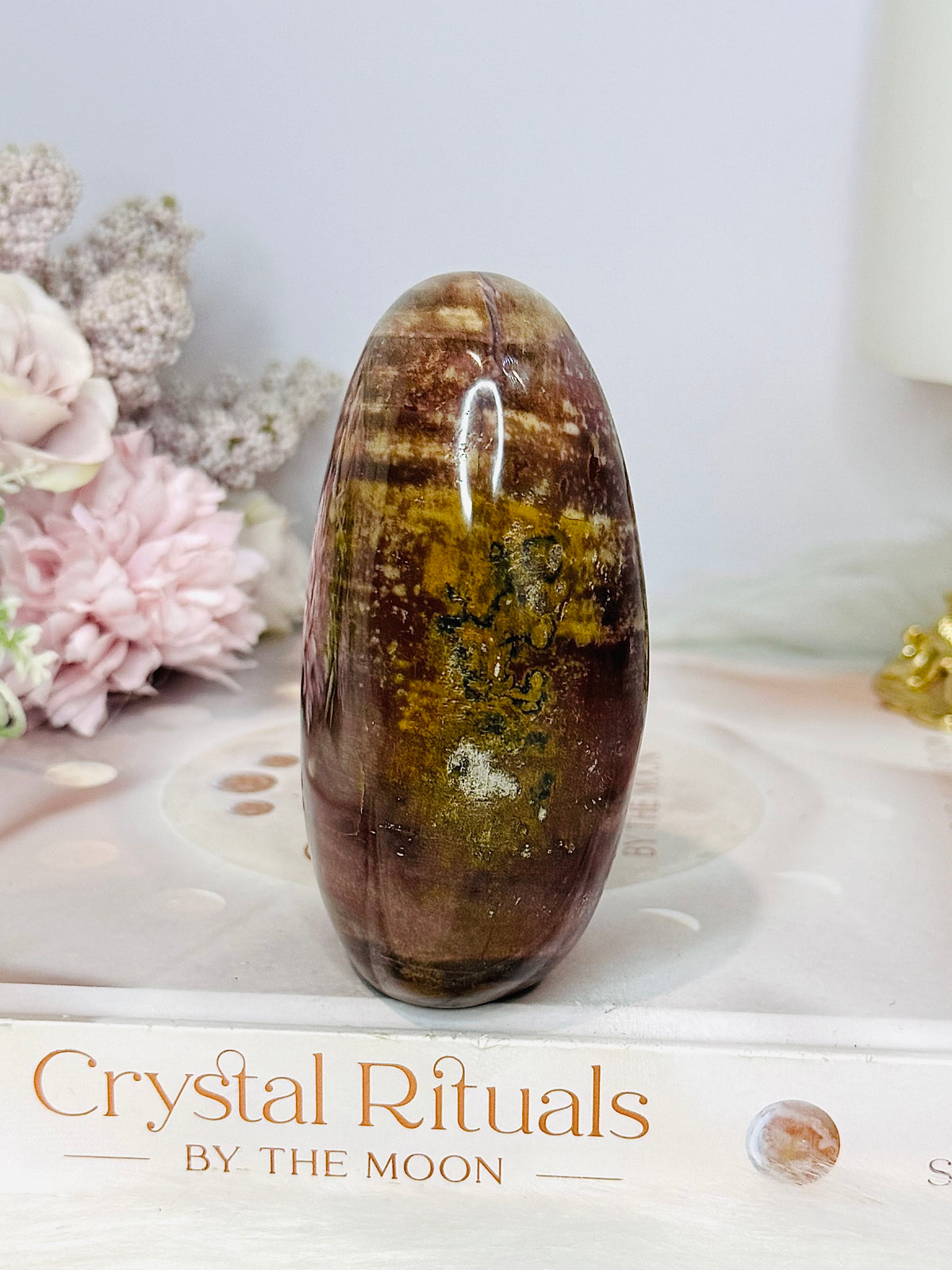 Petrified Wood Freeform 9cm 304g