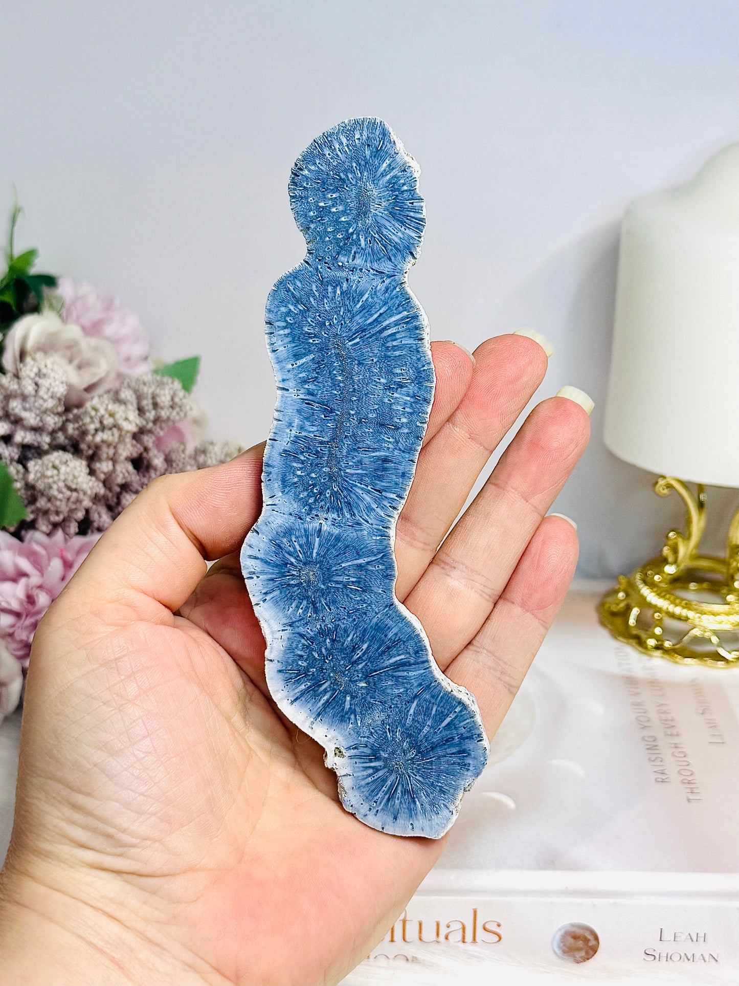 Natural Blue Coral Fossil Specimen Slab 15cm