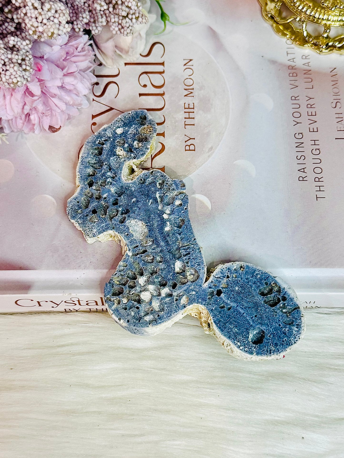 Natural Blue Fossilised Coral Vintage Skeleton Specimen 13cm
