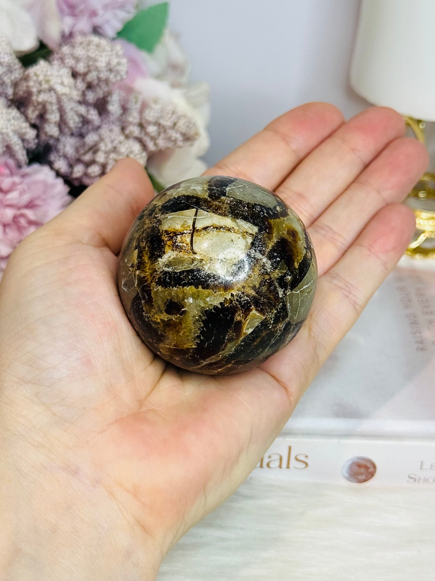 Natural Septarian Carved Sphere on Stand 233g