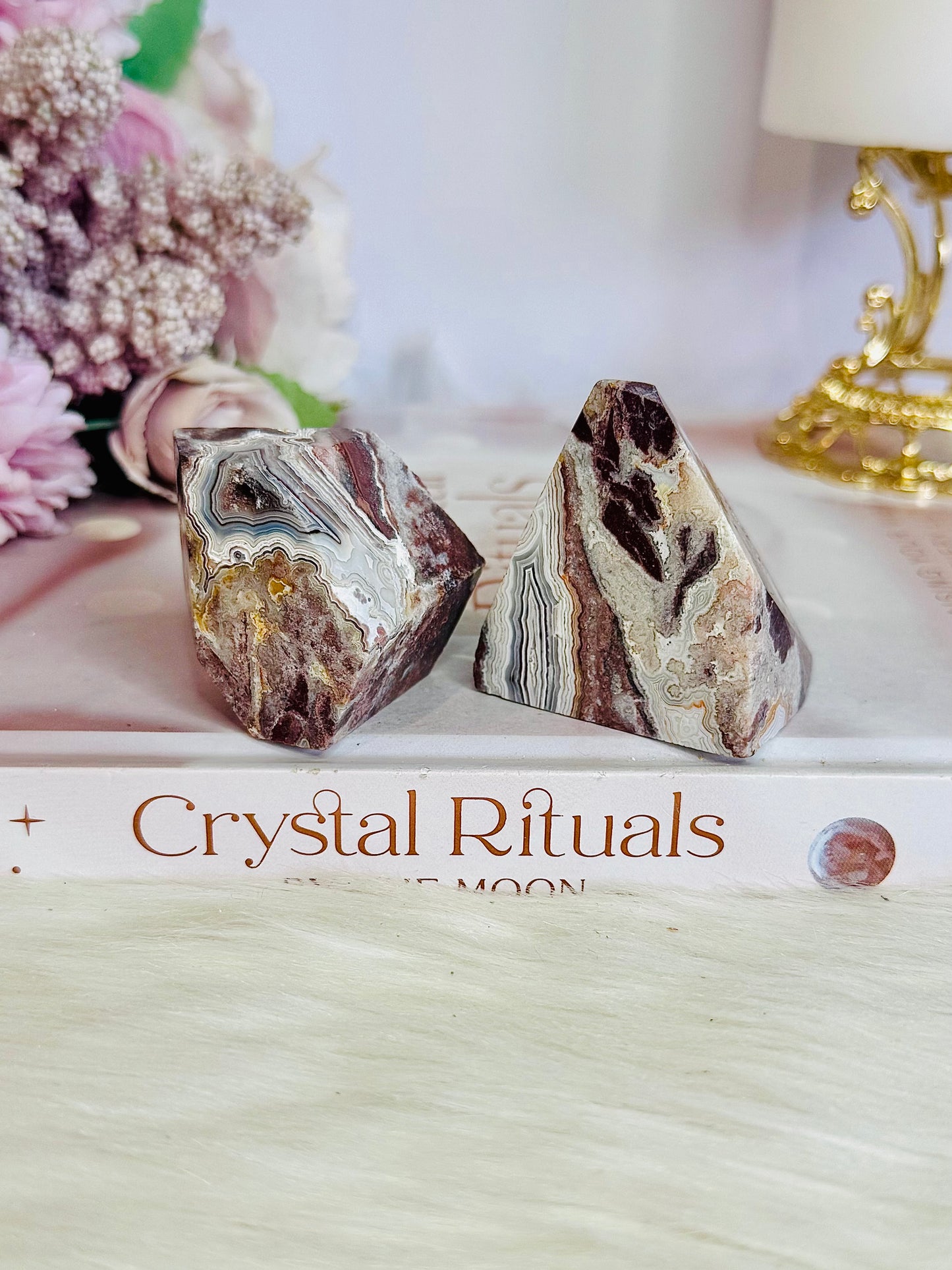 Stunning Natural Set of 2 Polished Mexican Lace Agate Freeforms