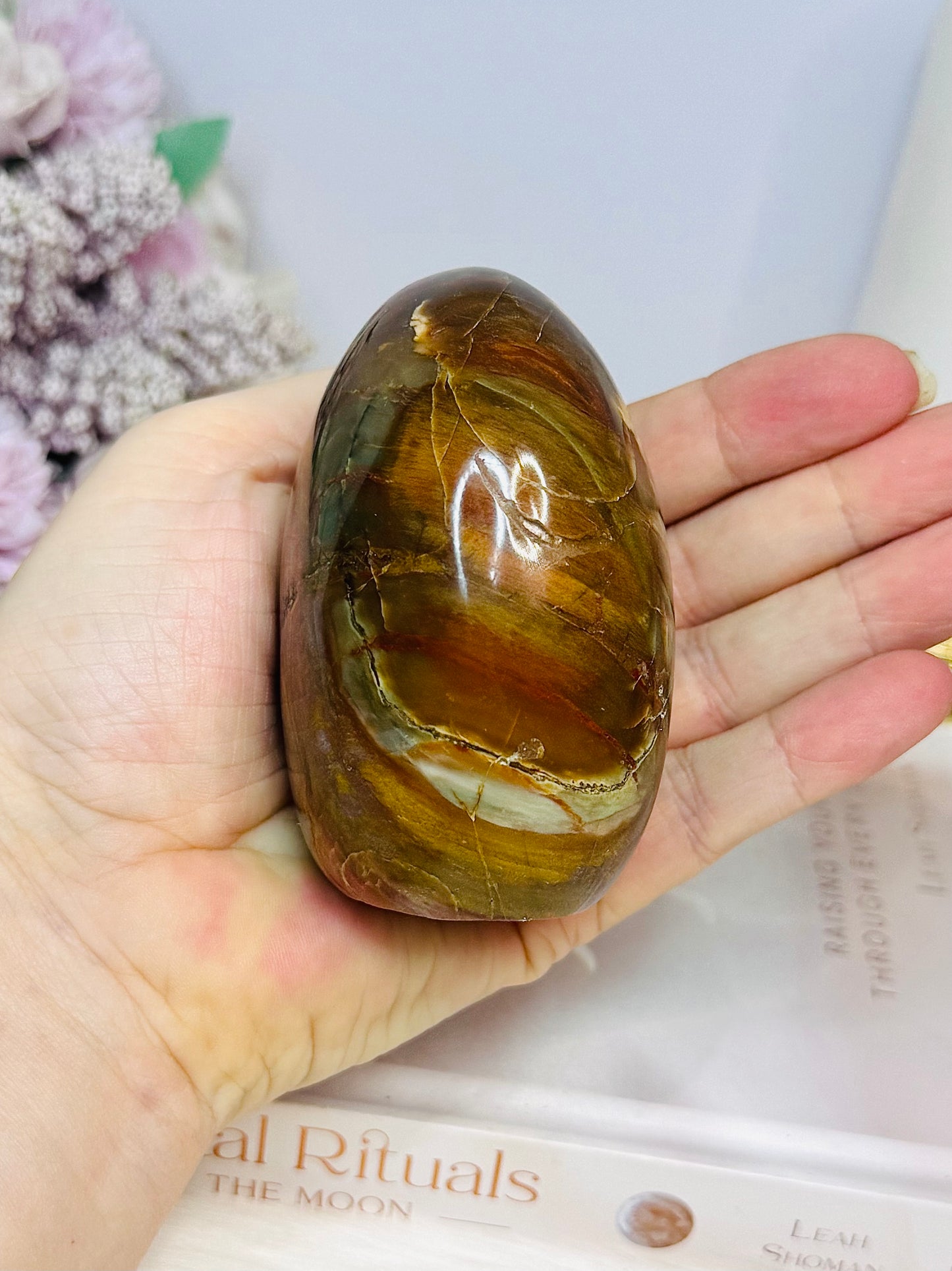 Petrified Wood Chunky Freeform 8cm 353g
