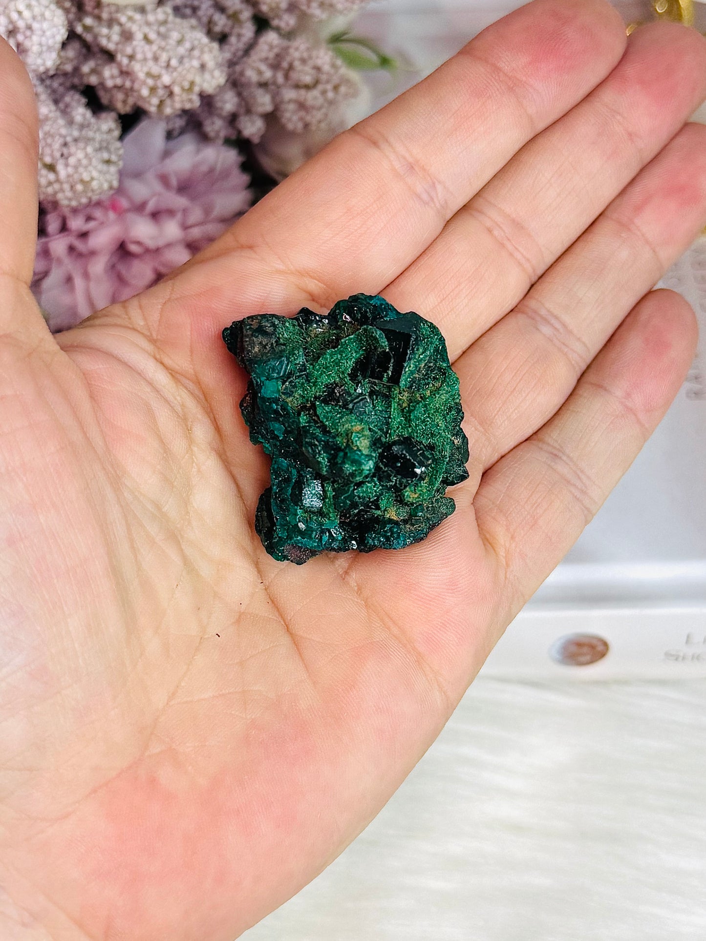 ⚜️ SALE ⚜️ Rare Natural Green Dioptase Specimen from Mashamba West Mine, Congo 4cm