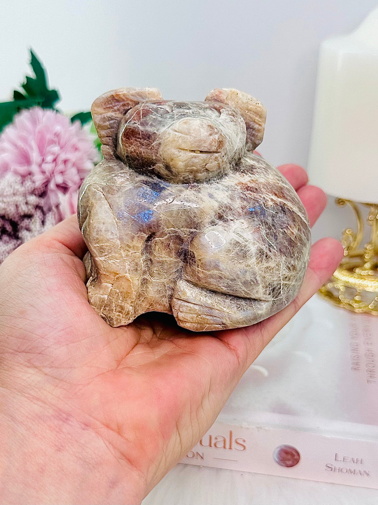 Gorgeous Large Moonstone Carved Koala Bear with Blue Flash 473grams