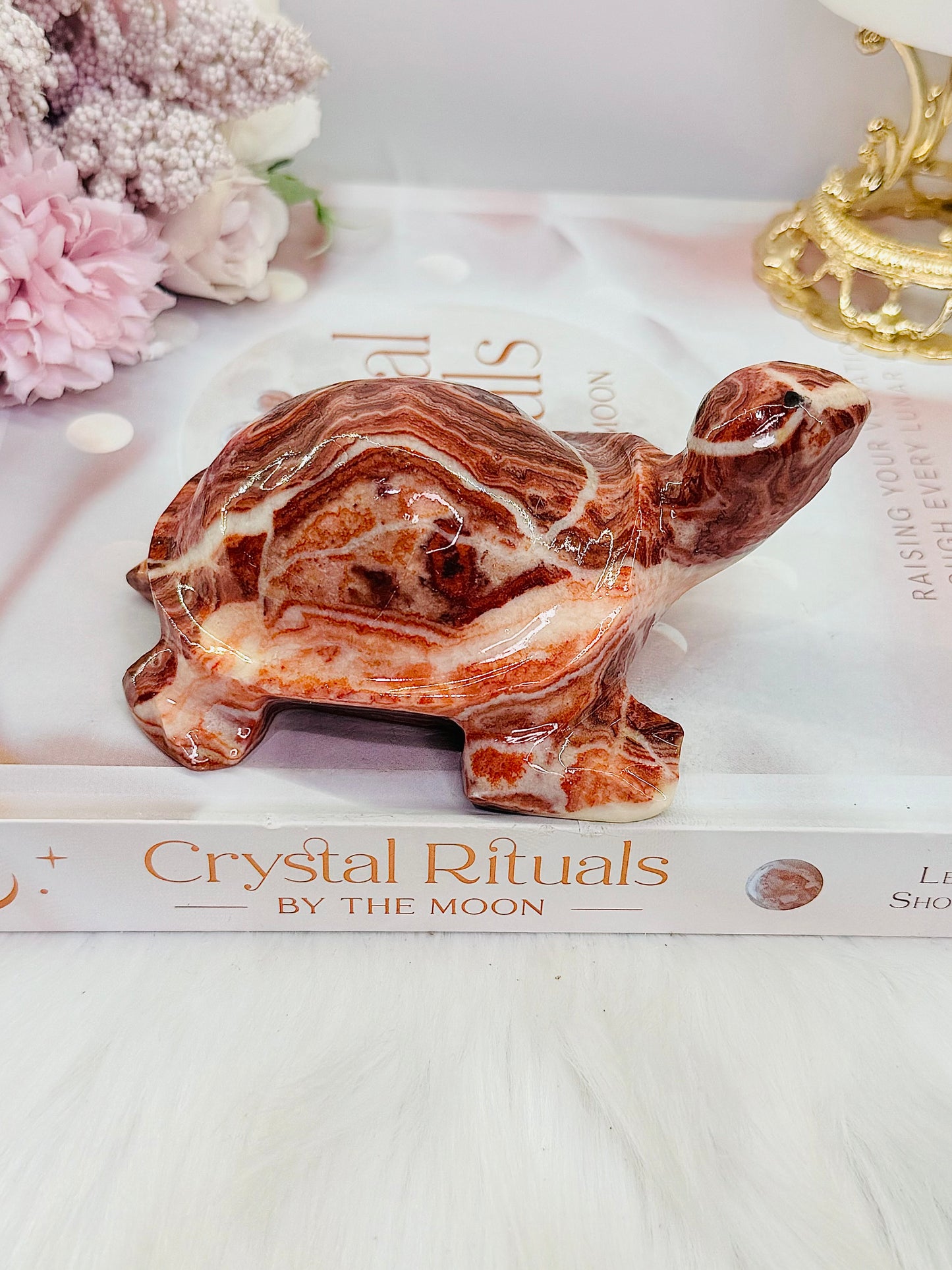 Large Perfectly Carved Red Banded Calcite | Pork Stone Turtle 385grams