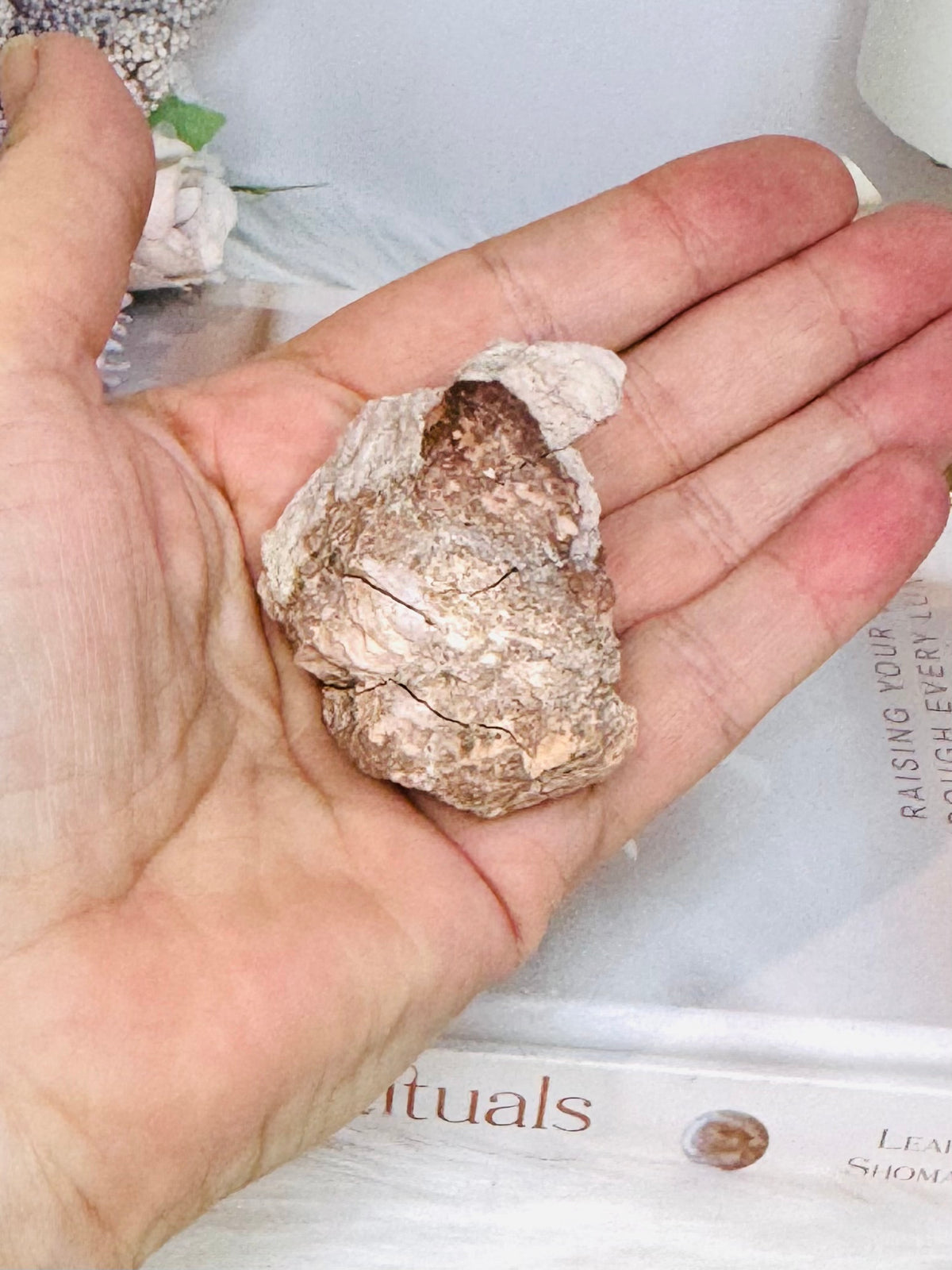 Natural Pink Amethyst Druzy Geode