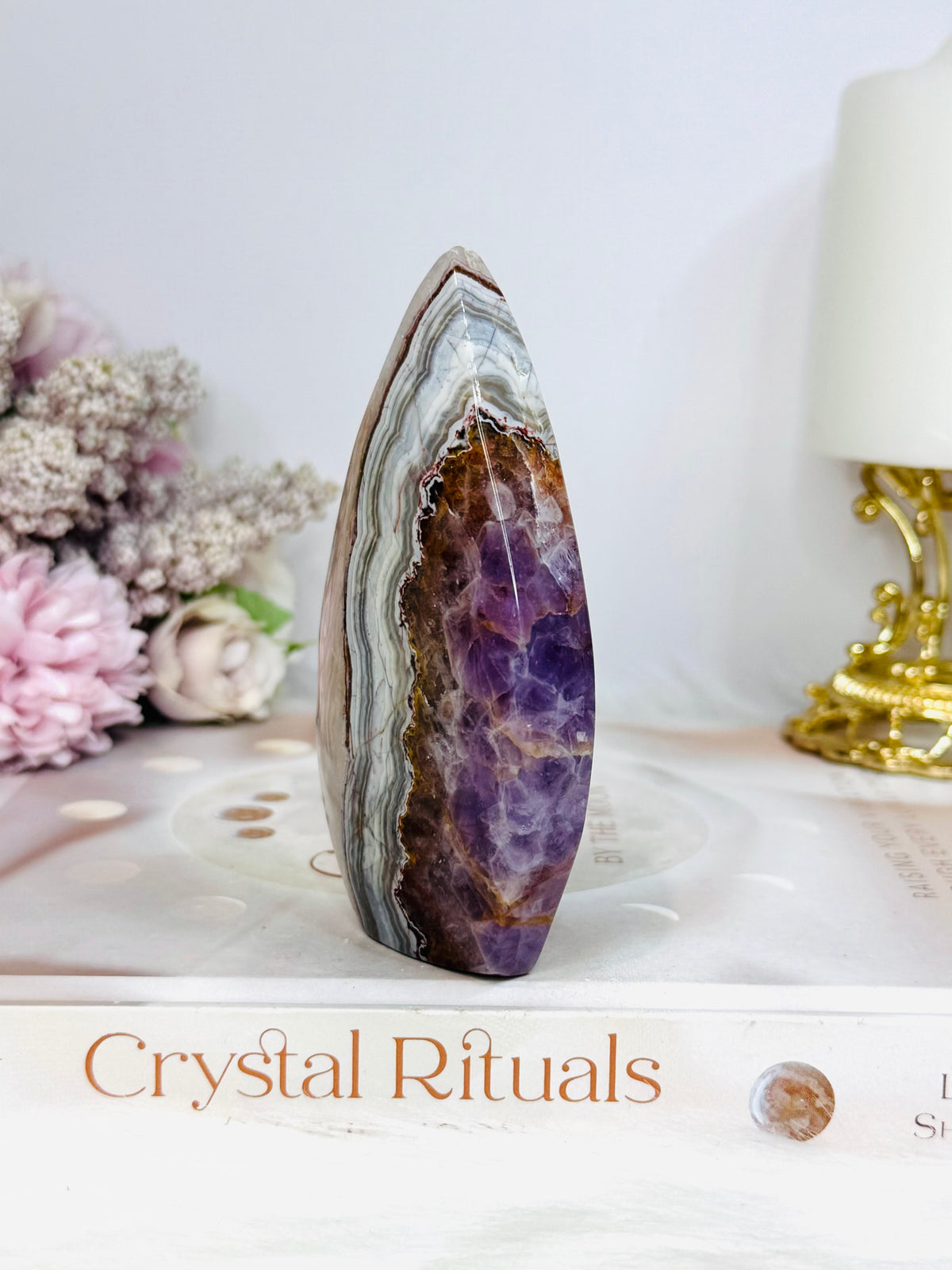 Crazy Lace Amethyst Flame 10cm