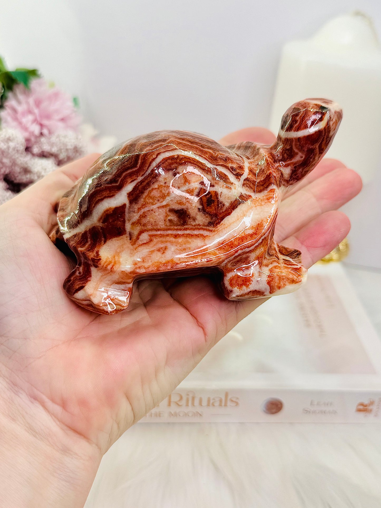 Large Perfectly Carved Red Banded Calcite | Pork Stone Turtle 385grams