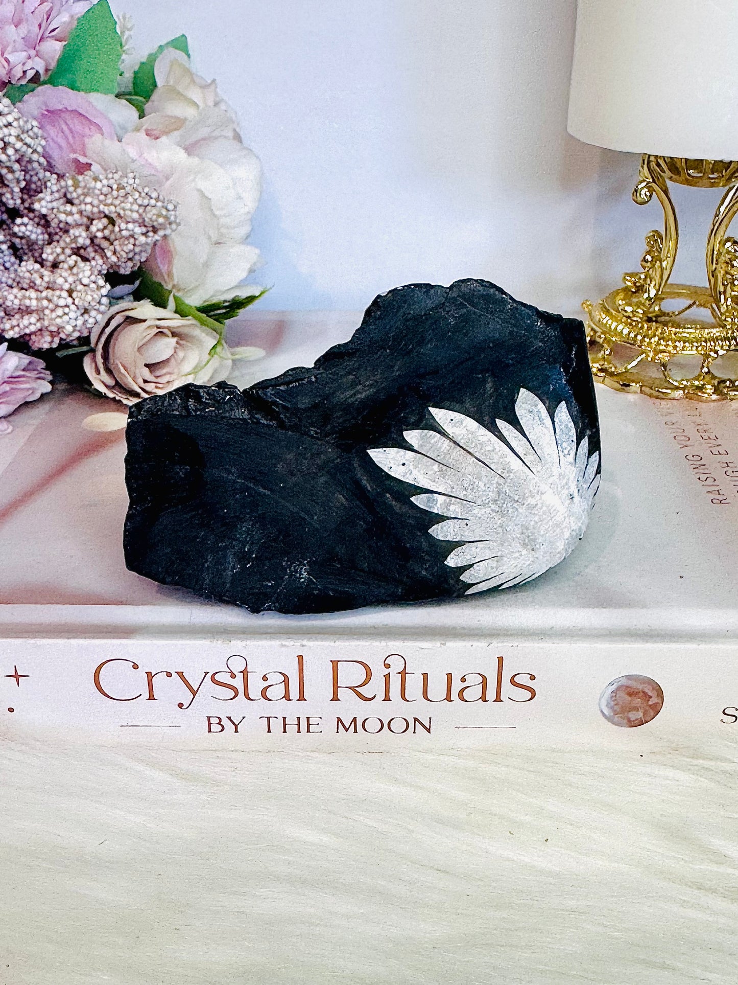 Natural Chunky Large Chrysanthemum Stone Formed Over 290 Million Years Ago 9cm