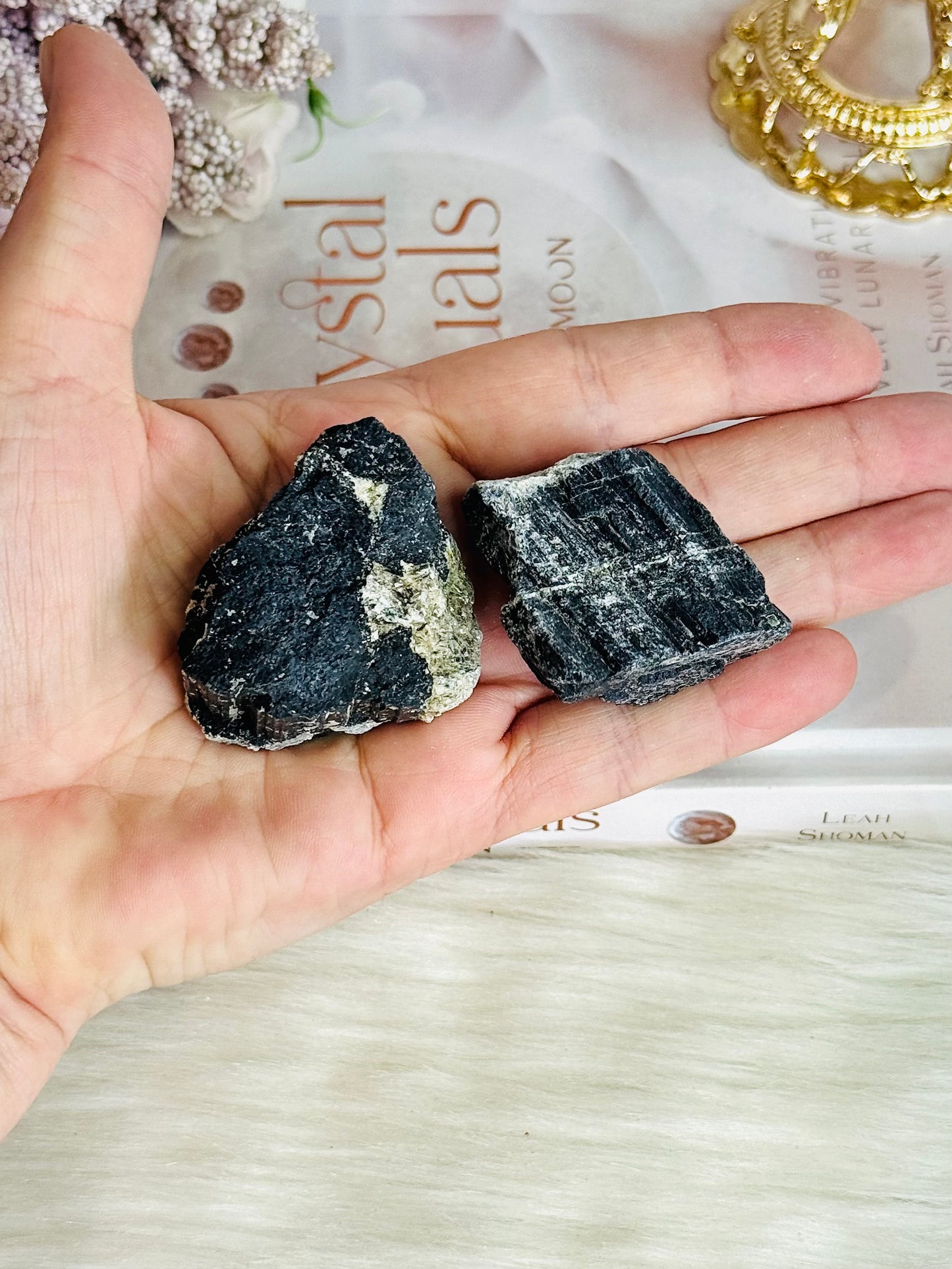 💰💰 DOUBLE DEAL 💰💰 Set of 2 Natural Raw Black Tourmaline Specimen