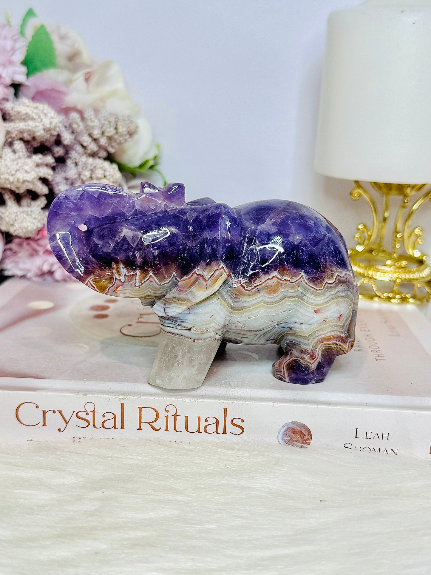 Amethyst X Mexican Lace Agate Elephant 12cm 430g