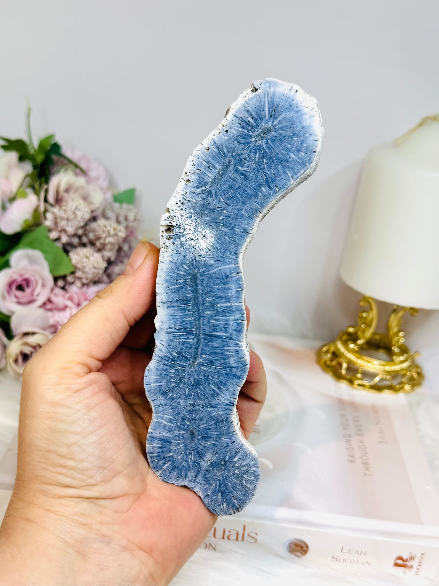 Blue Coral Fossil Specimen 16cm