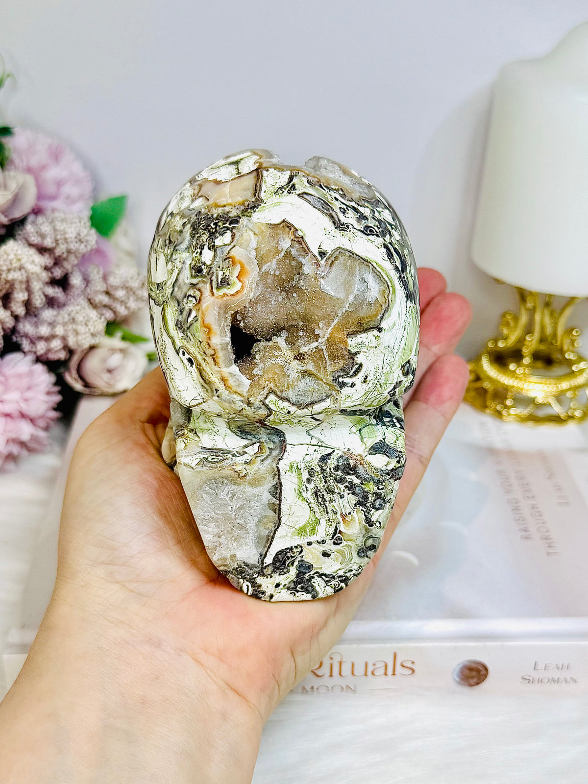 Large Money Agate Druzy Skull 751g