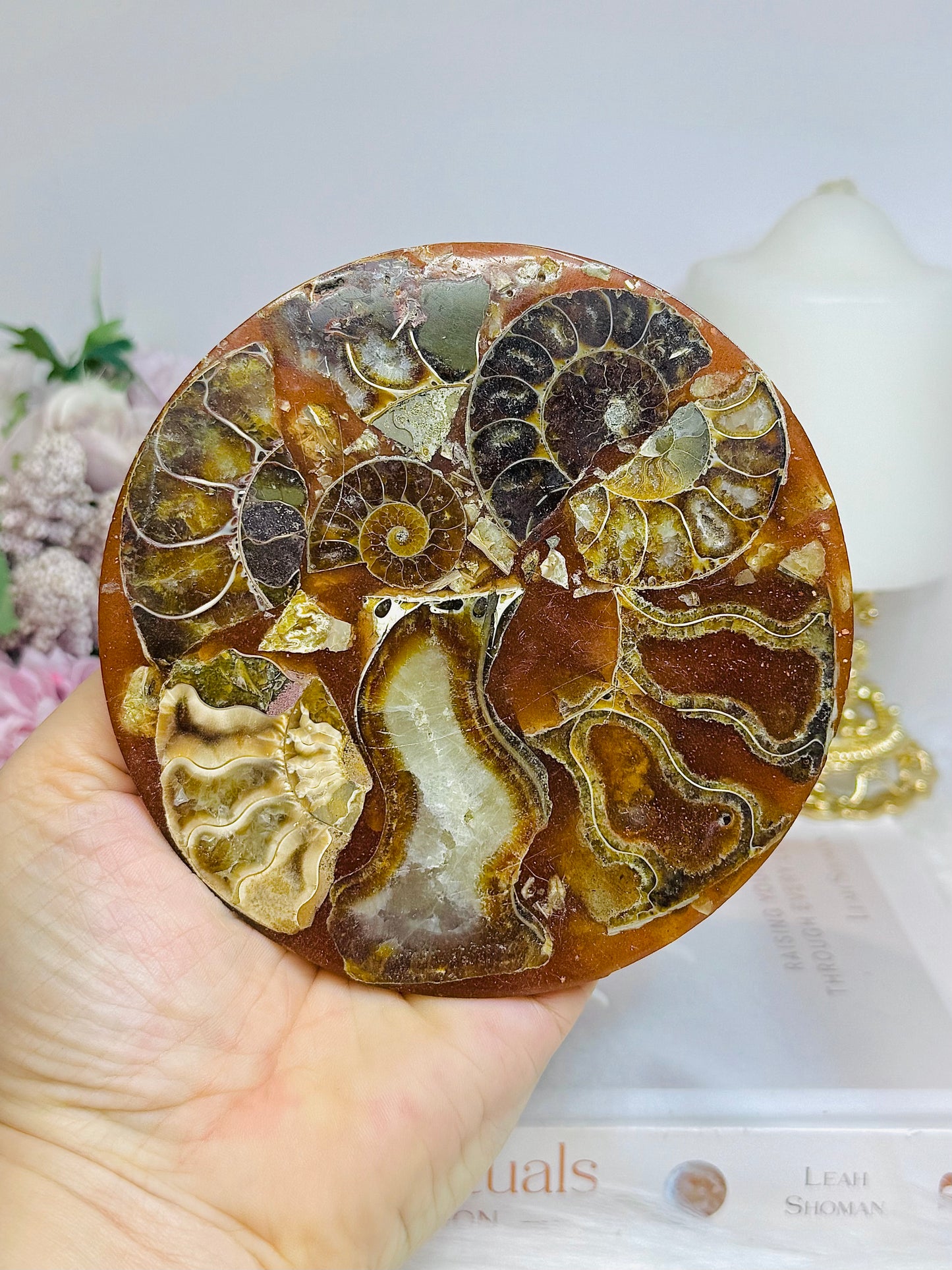 Natural Ammonite Fossil Shell Plate on Stand 12.5cm