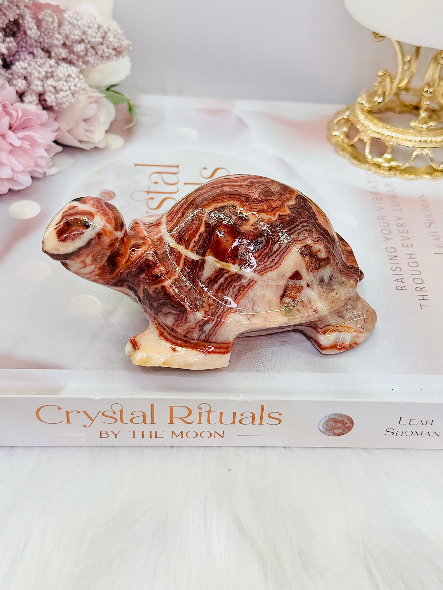 Large Perfectly Carved Red Banded Calcite | Pork Stone Turtle 385grams