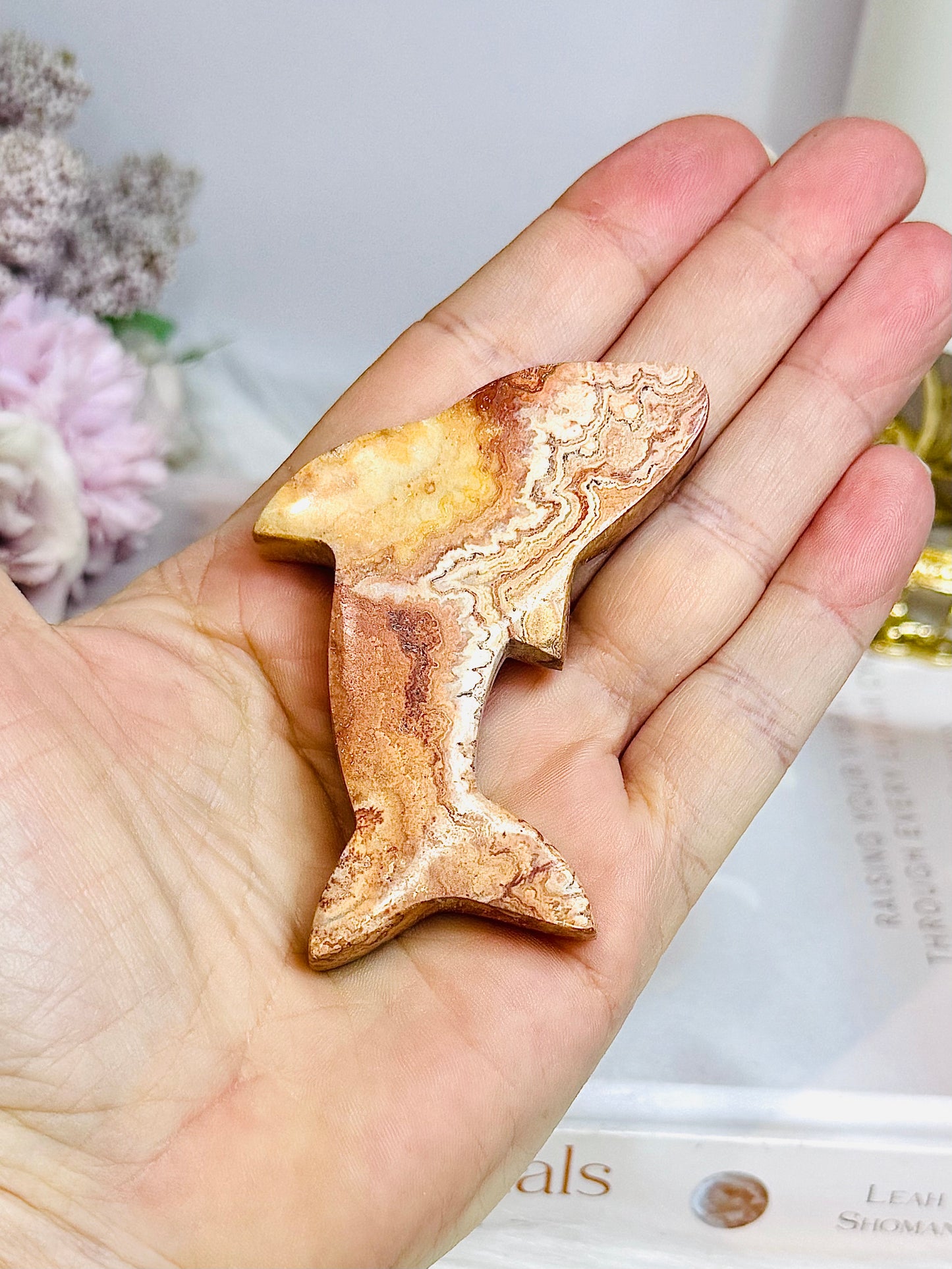 Crazy Lace Agate Carved Dolphin 7cm