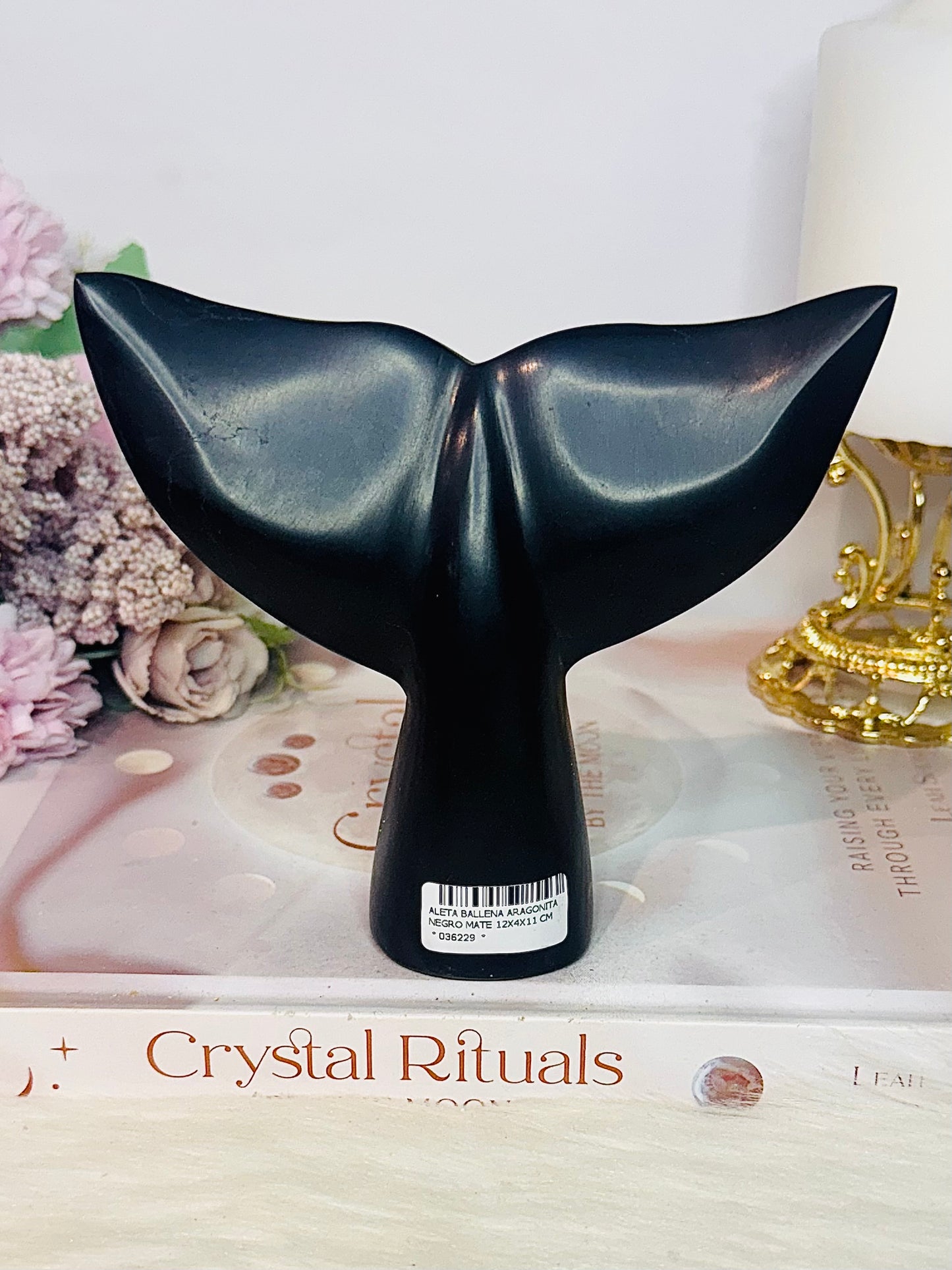 Black Aragonite Carved Whale Tail 12cm