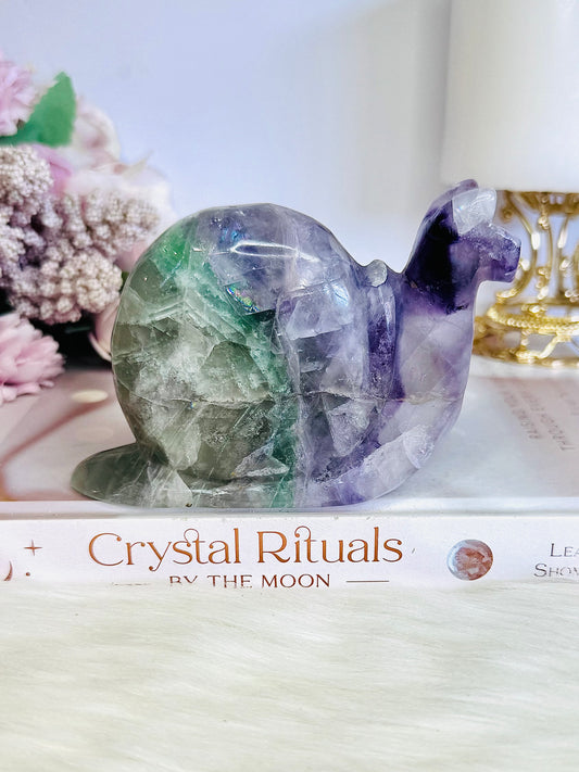 Fluorite Carved Large Snail 11cm 449grams