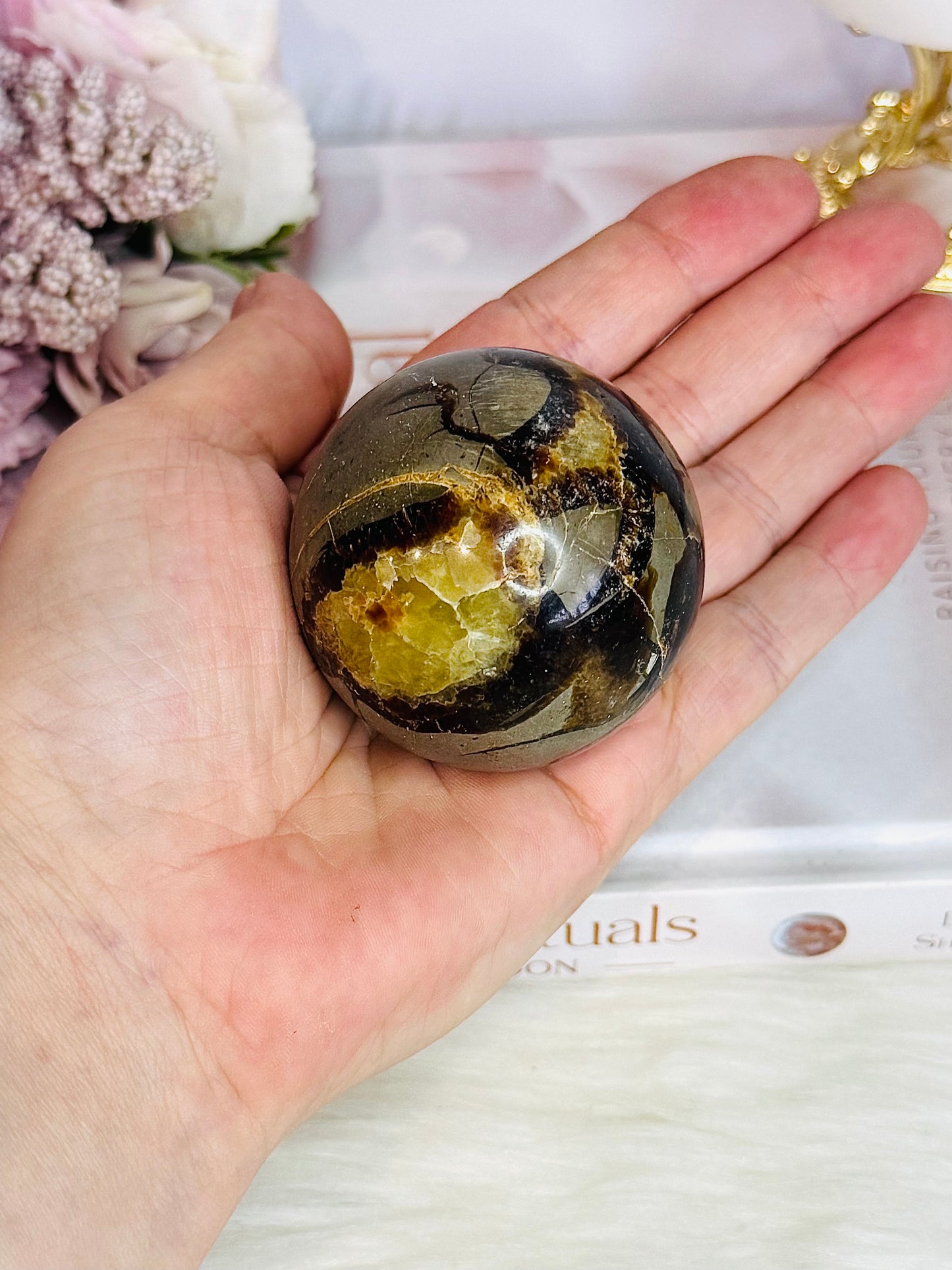 Natural Septarian Carved Sphere 5cm On Stand