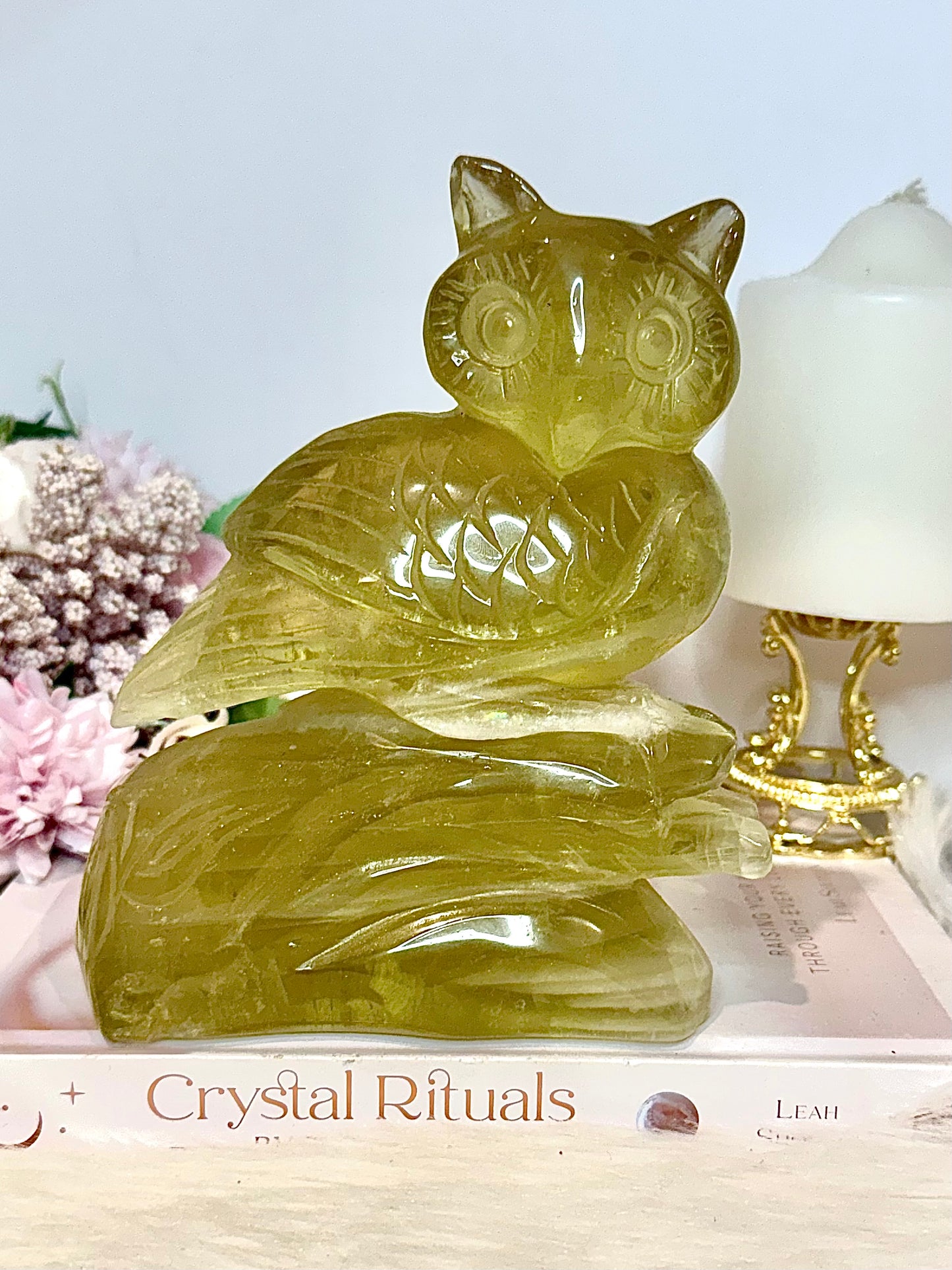 Huge 1.25KG Citrine Carved Owl 15cm