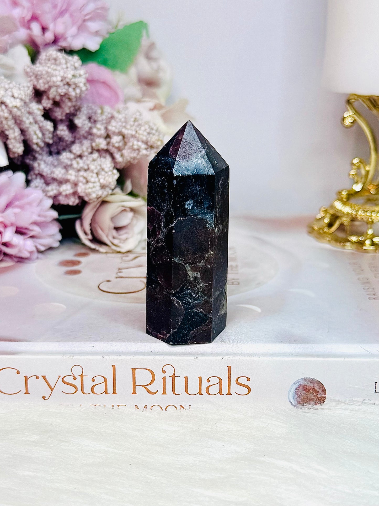 Garnet In Astrophyllite Point | Tower 7cm