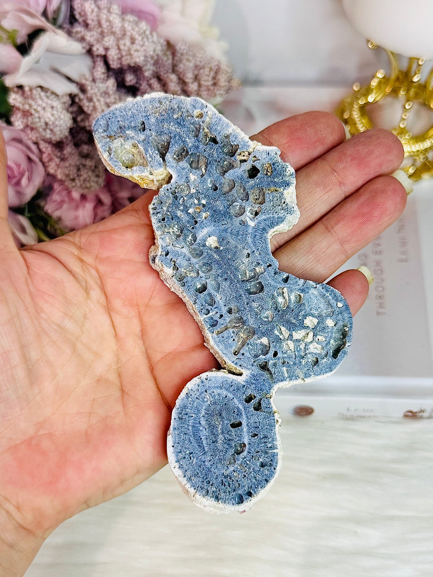 Natural Blue Fossilised Coral Vintage Skeleton Specimen 13cm
