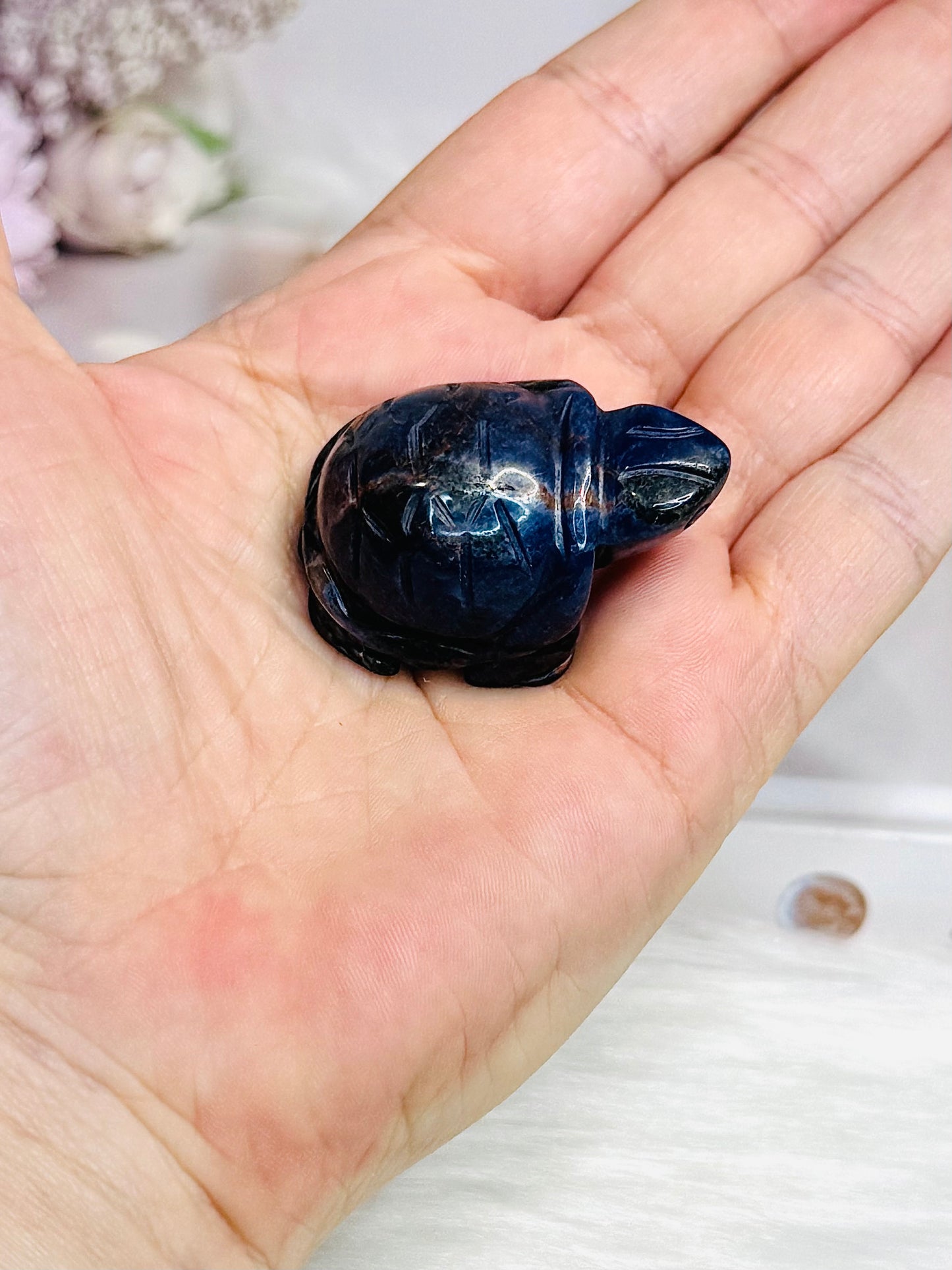 Sodalite Turtle 4cm