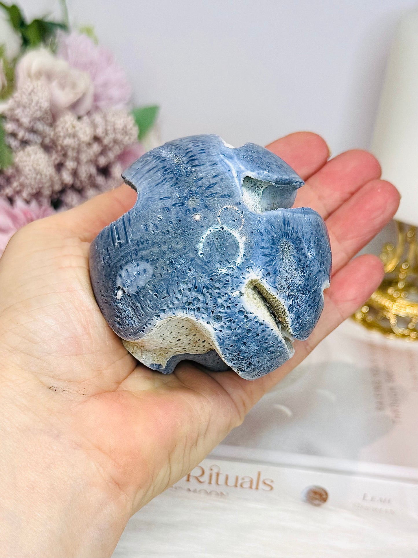 Rare Blue Coral Fossil Sphere on Stand 310g
