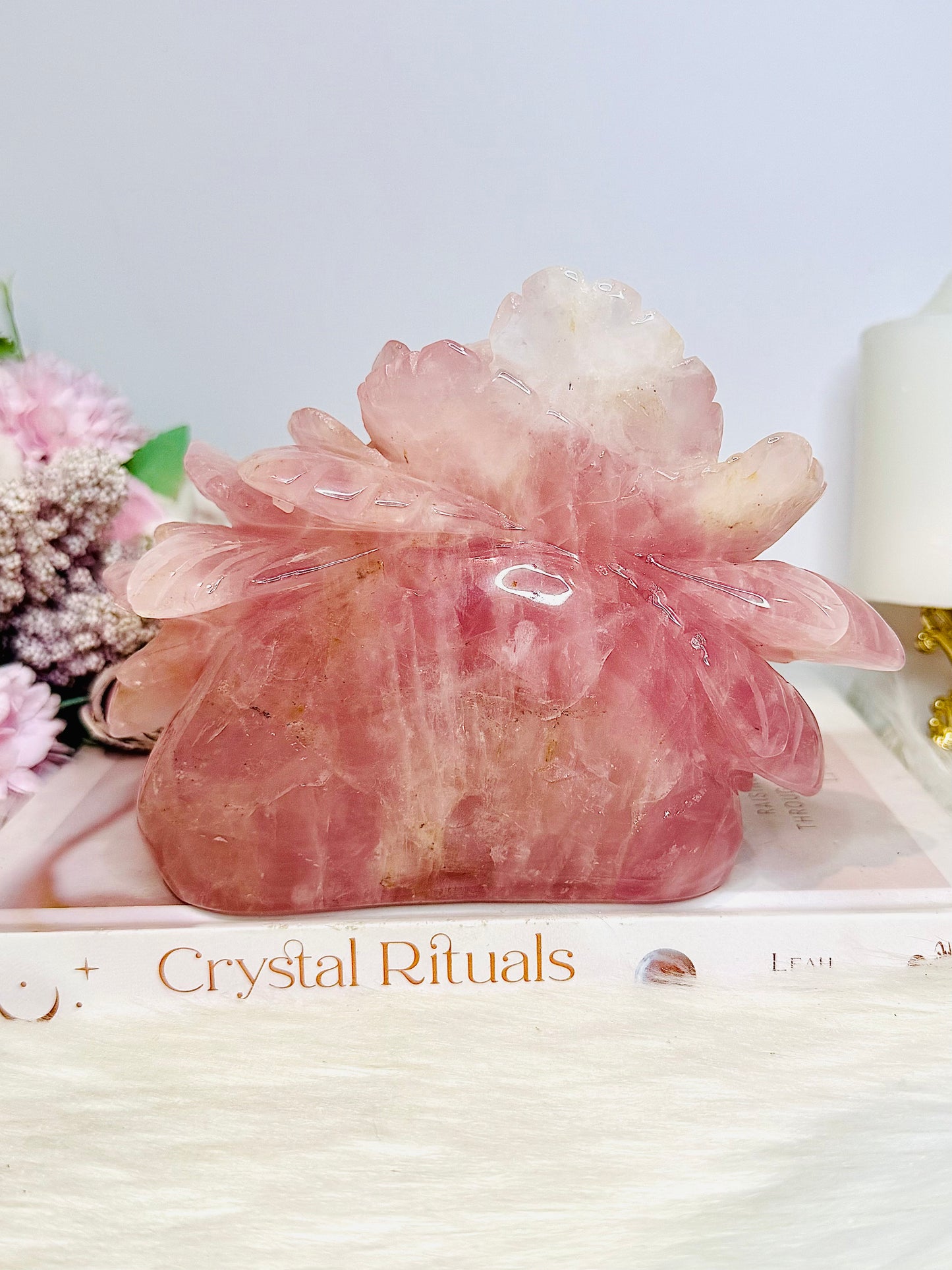 Huge Rose Quartz Carved Flower | Rose 1.4KG