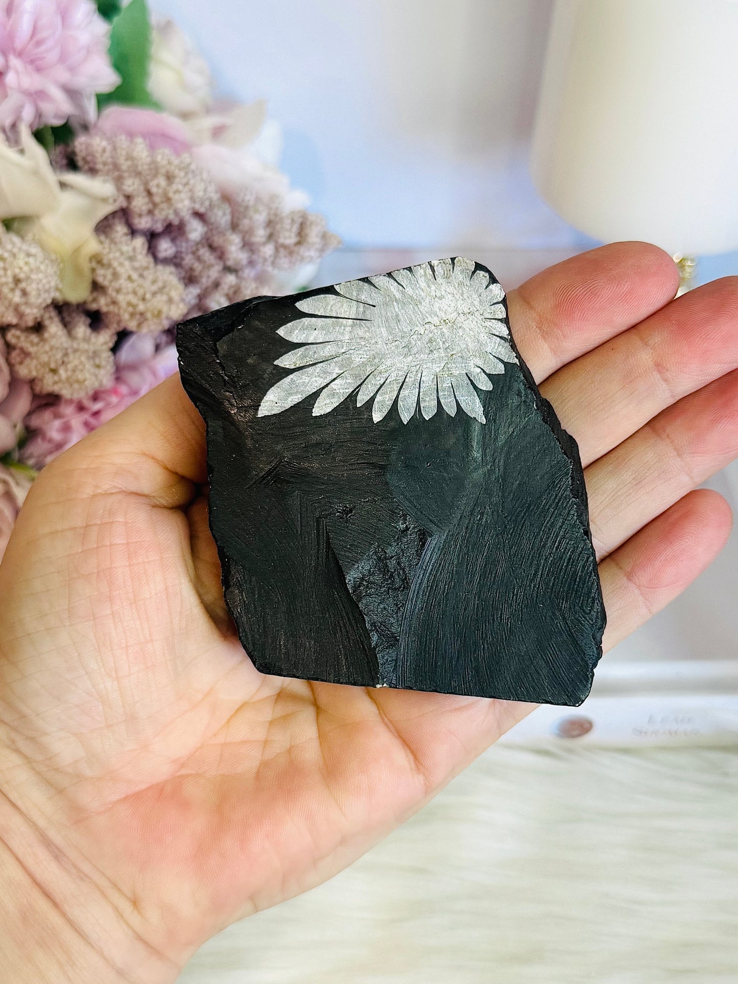 Natural Chrysanthemum Stone Formed Over 290 Million Years Ago 8cm