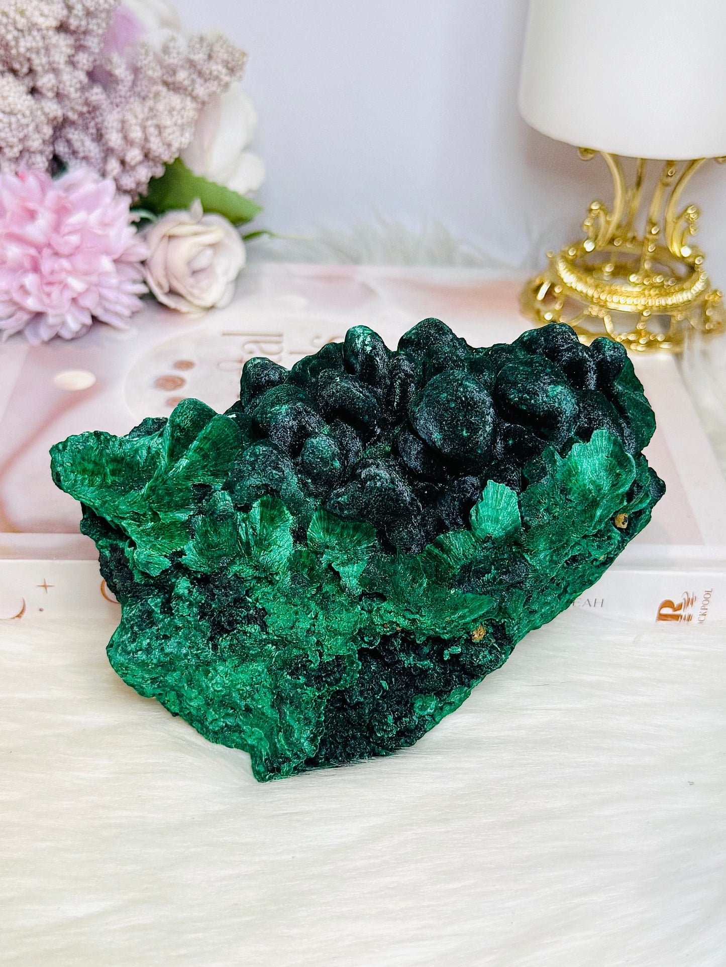 High Grade Velvet Botryoidal Malachite Natural Specimen on Stand 882g 15cm