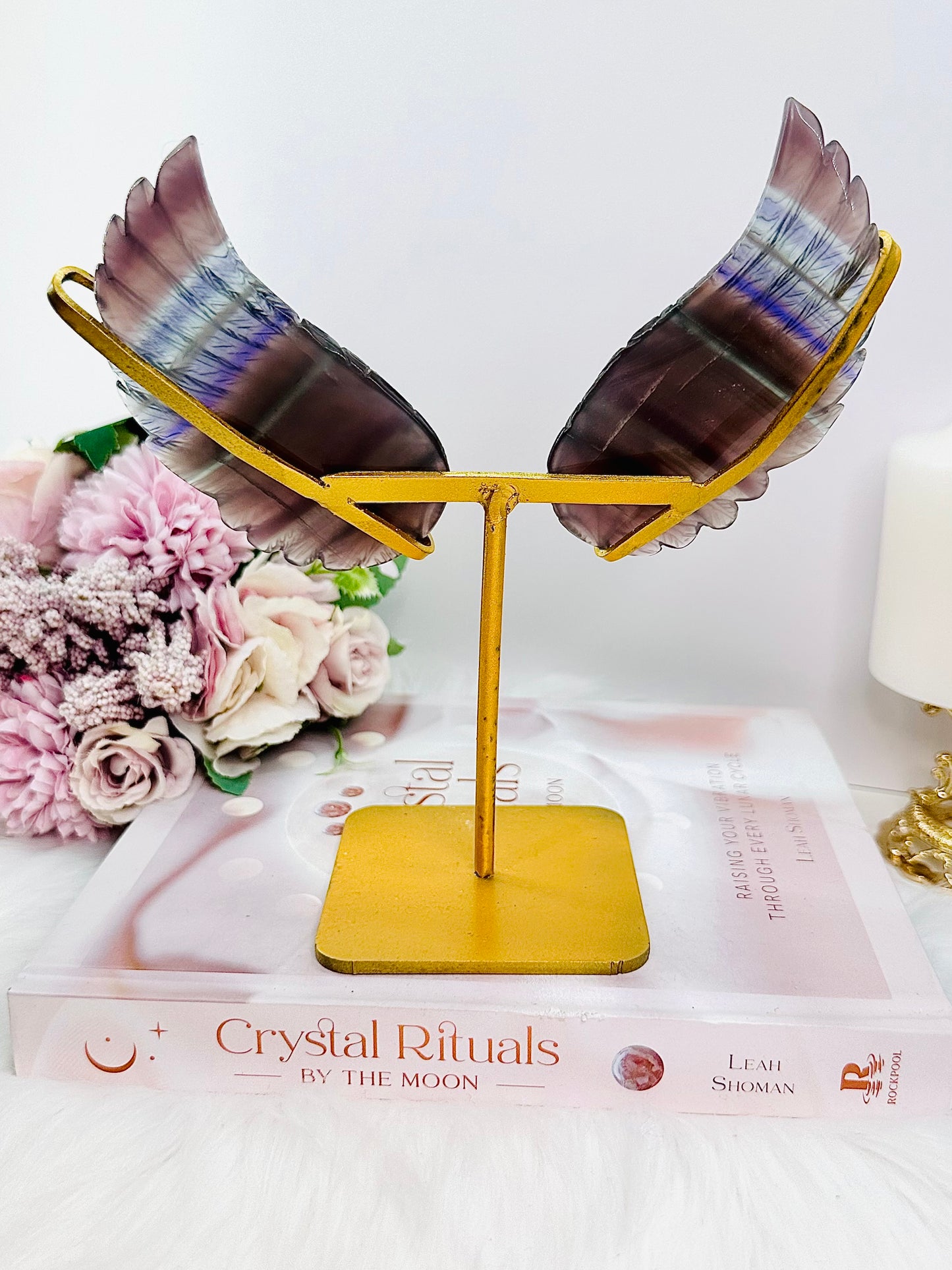 Stunning 18cm (Inc Stand) Gorgeous Fluorite Wings On Gold Stand ~ Absolutely Amazing Set
