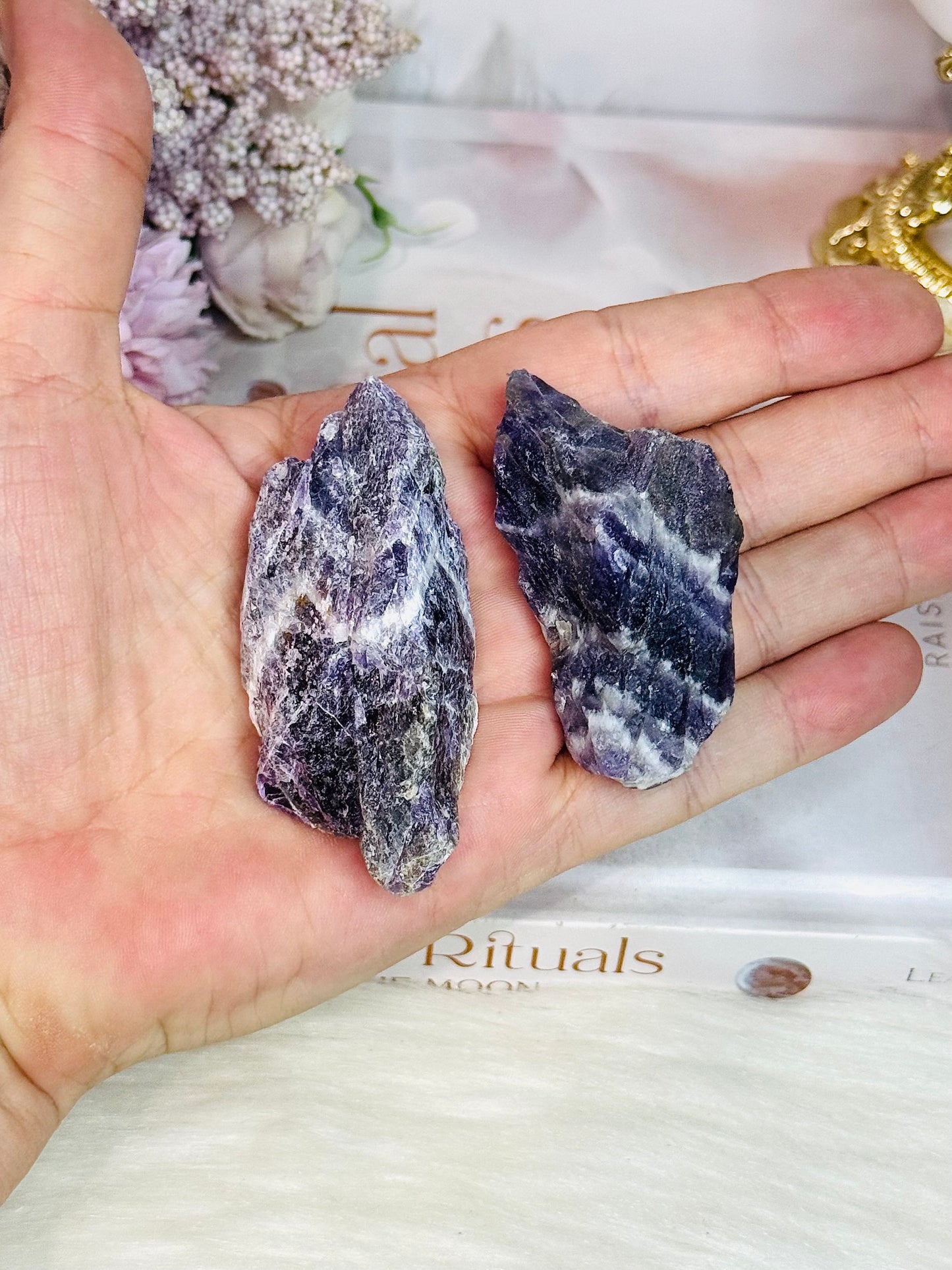 Set of 2 Natural Chevron | Dream Amethyst Specimen