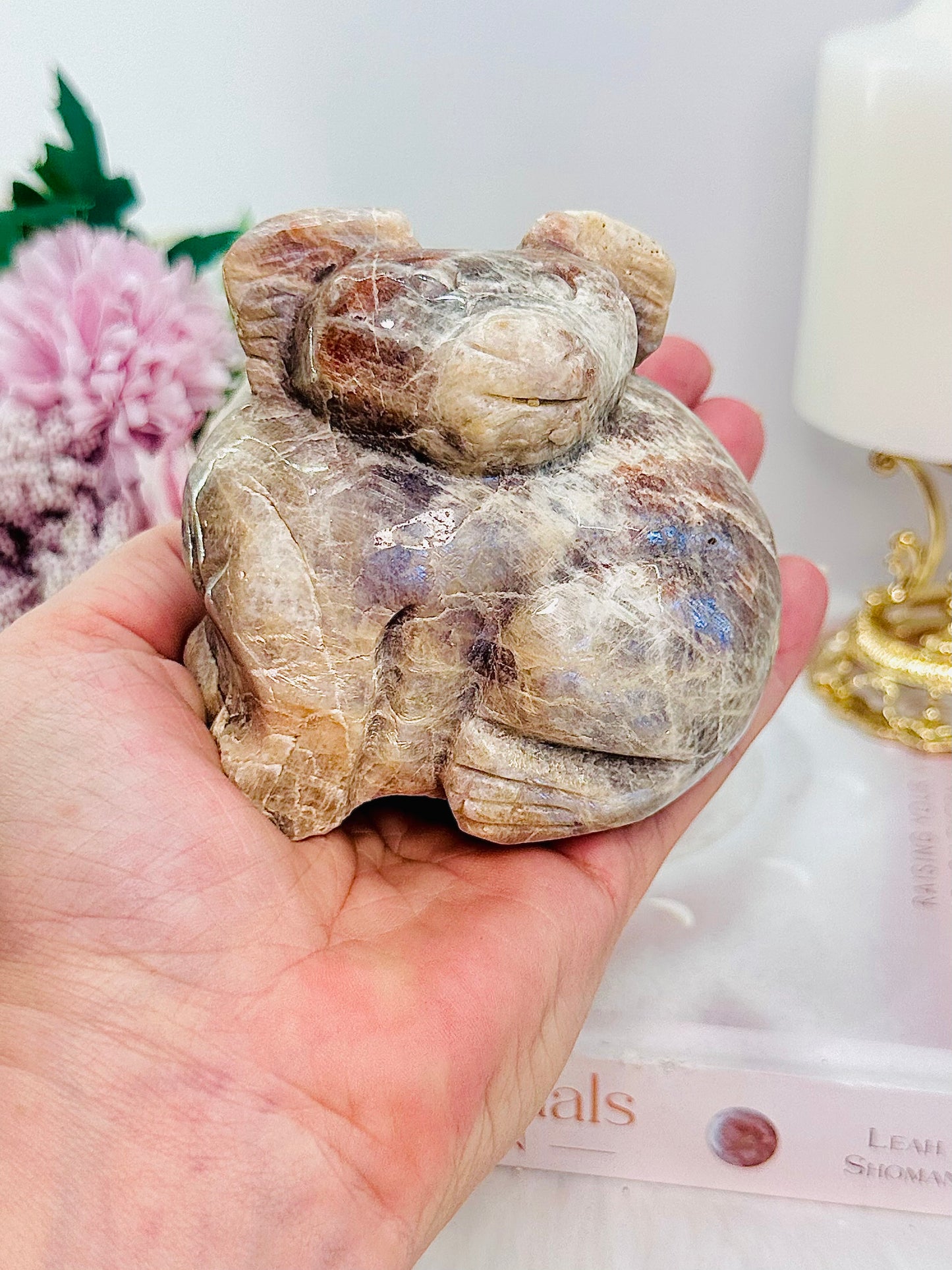 Gorgeous Large Moonstone Carved Koala Bear with Blue Flash 473grams
