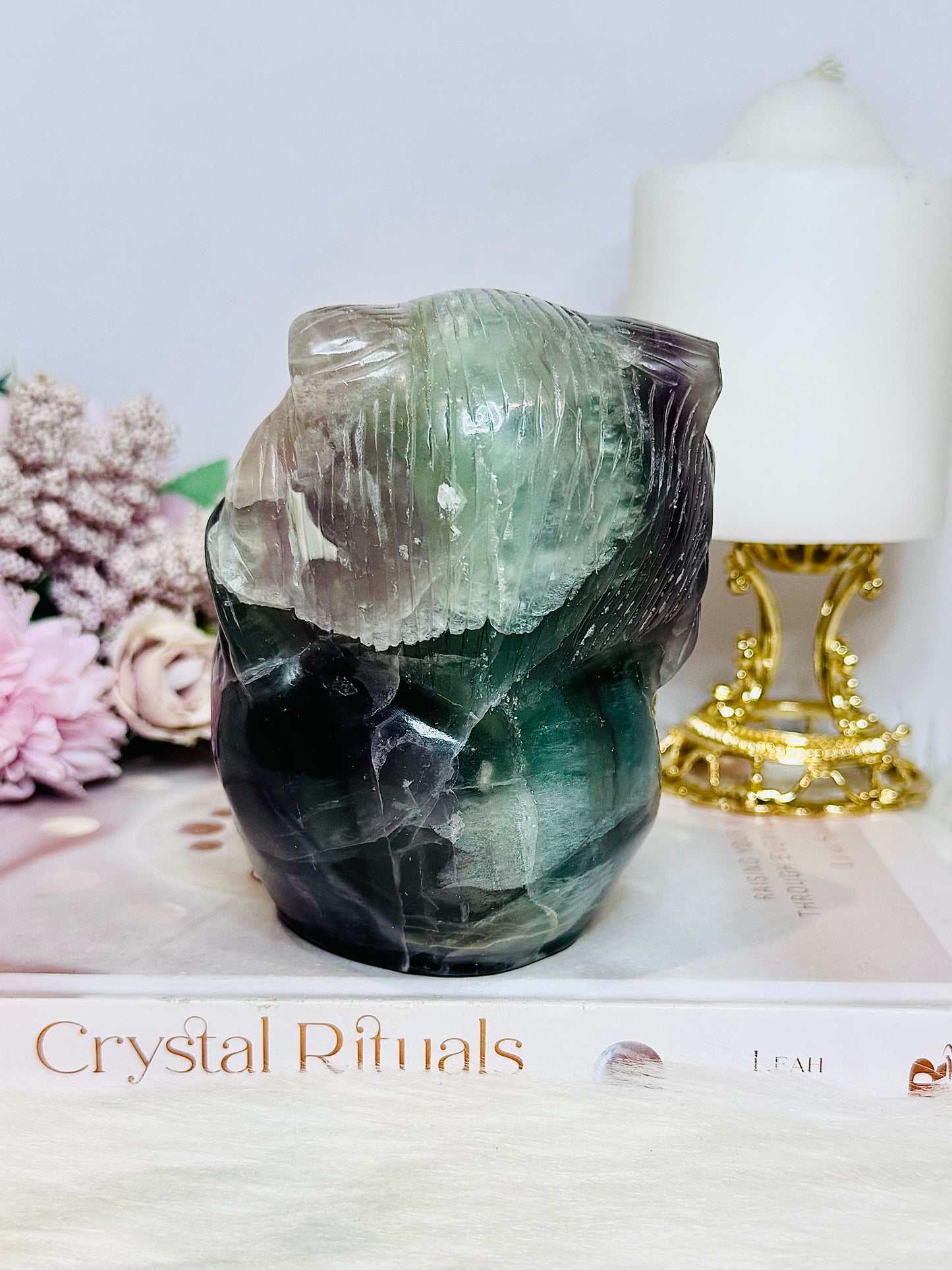 Large Fluorite Carved Skull with Bear Head 1.68KG