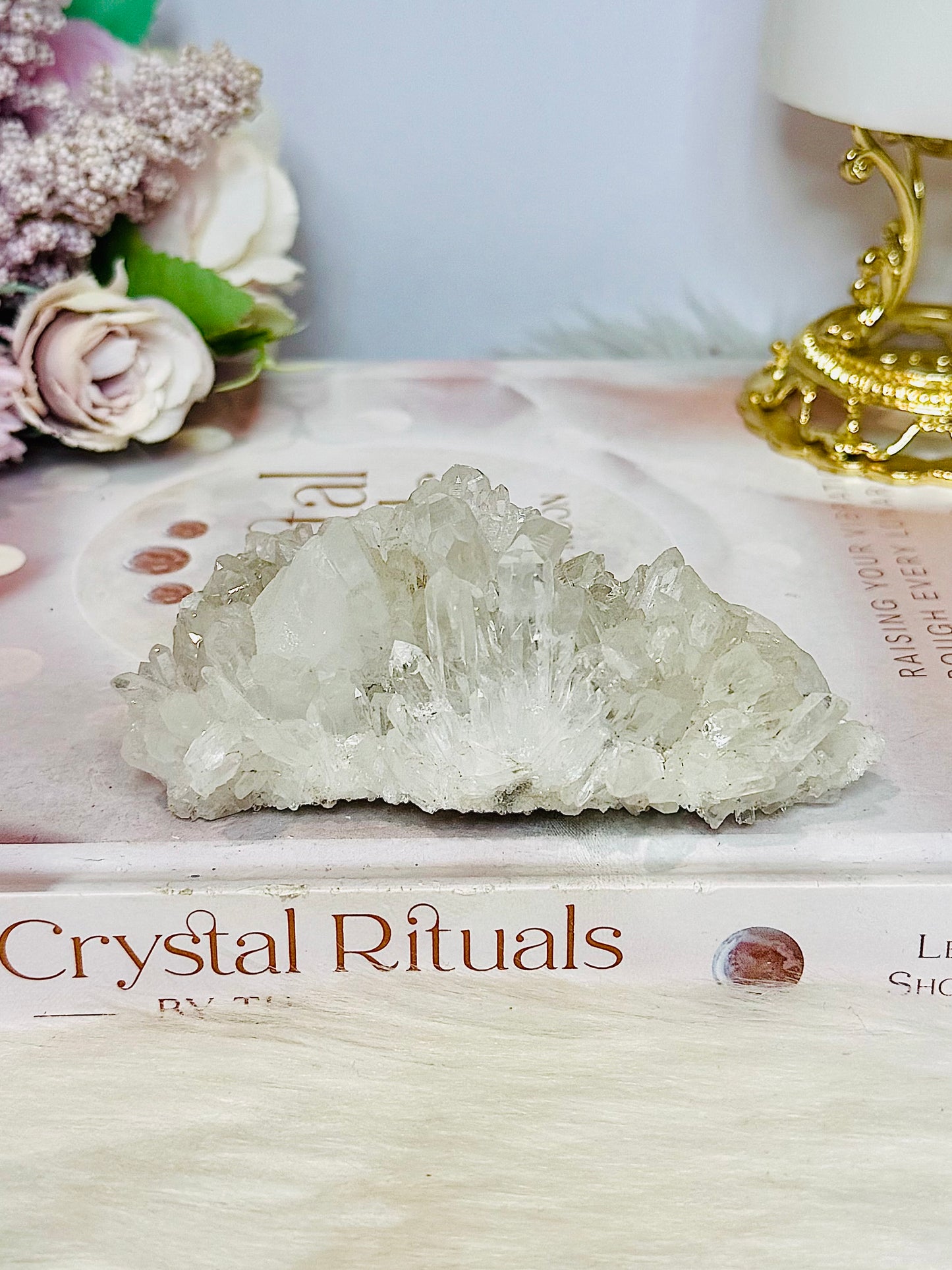Natural Chrysanthemum Quartz Specimen 10cm