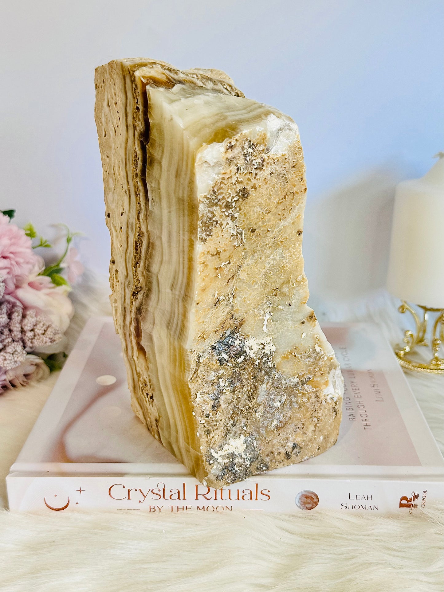 Huge Natural Aragonite Freeform | Slab 17cm Tall 2.7KG ~ Spectacle Piece