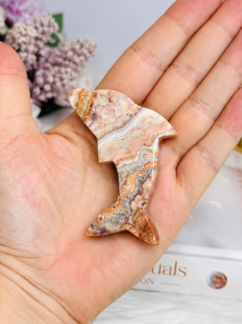 Crazy Lace Agate Carved Dolphin 7cm